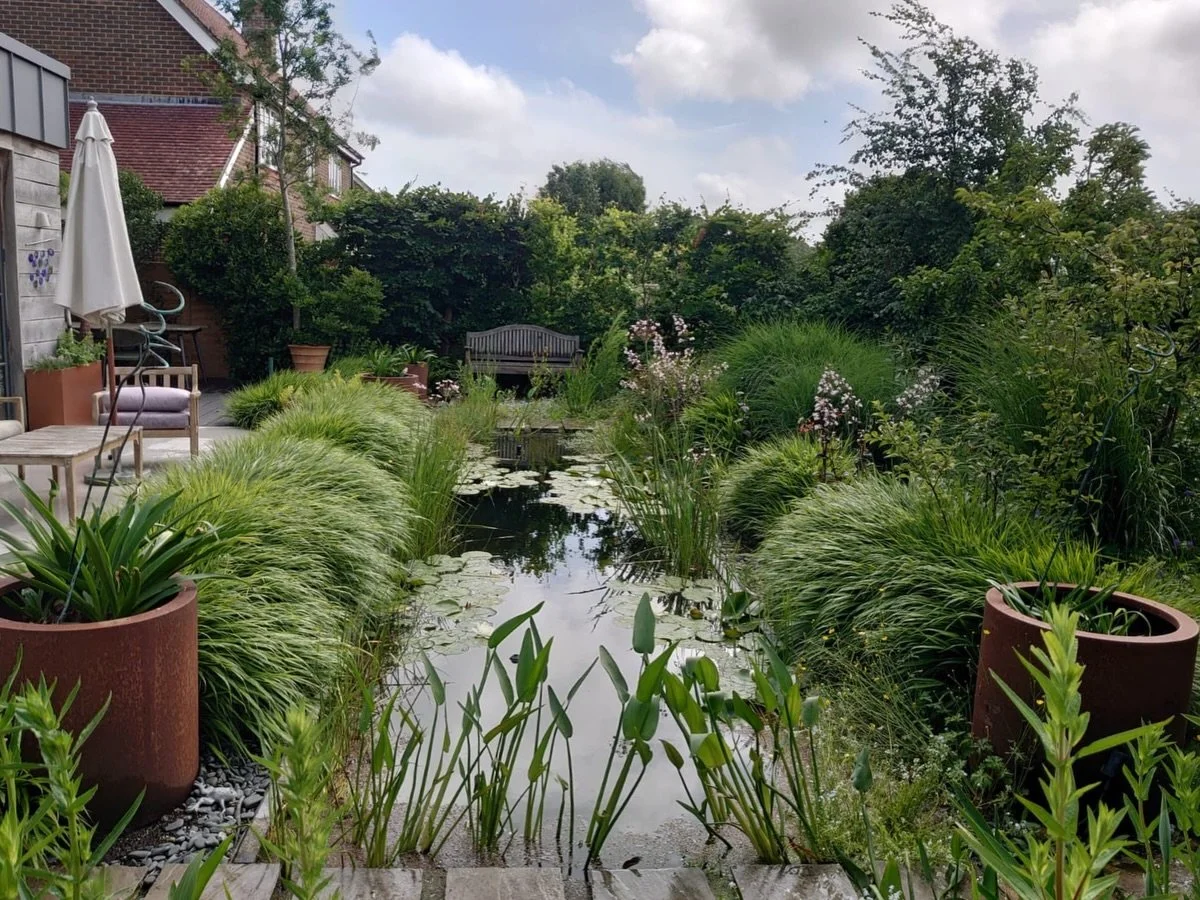 Swipe for the Befores! We love looking after this unique Boxgrove garden 💚 This wildlife-focussed garden centres around a linear pond full of planting for habitats and hiding places, with the rest of the garden a haven of edibles and ornamentals for