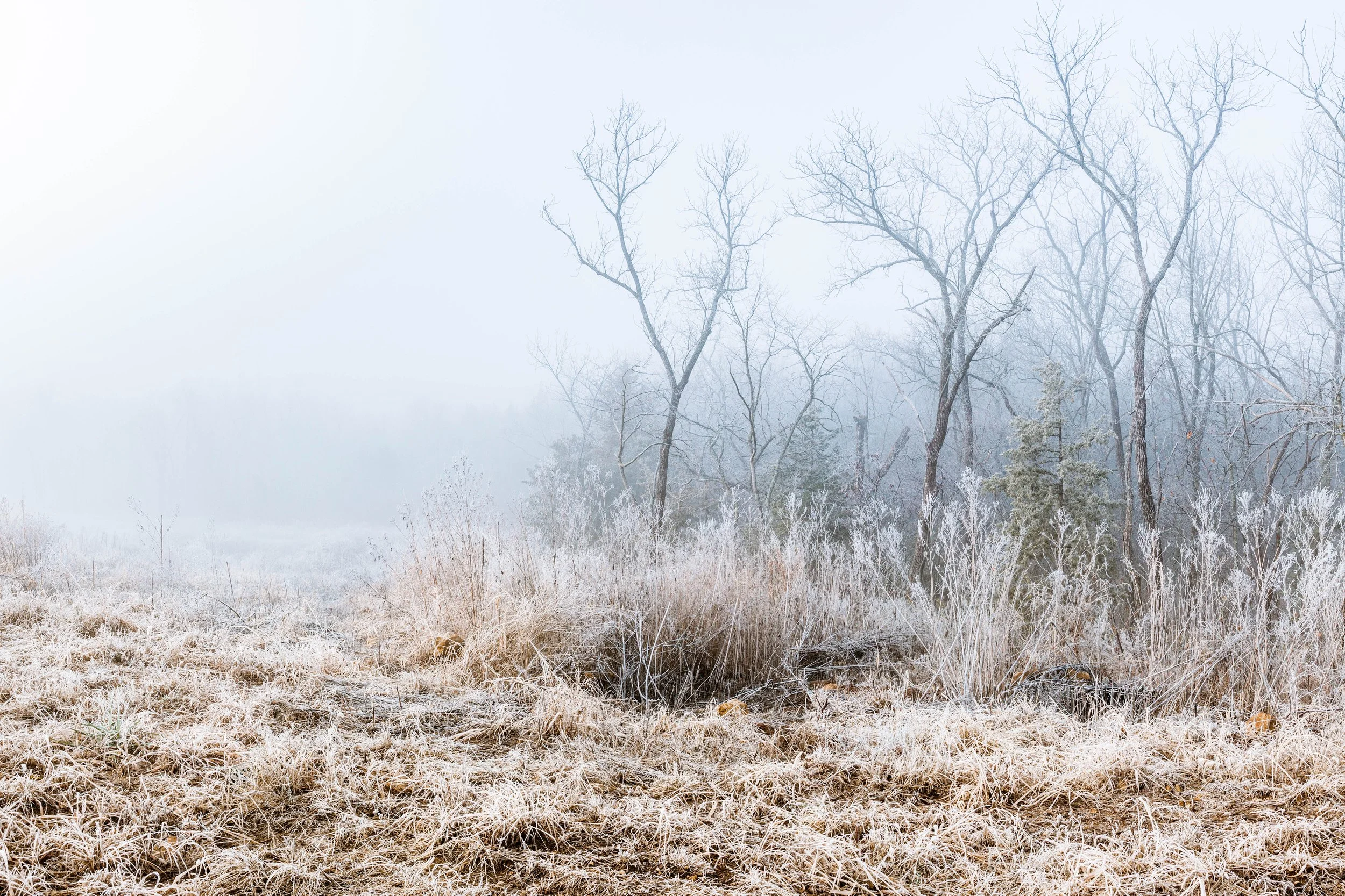 Winter - website.jpg