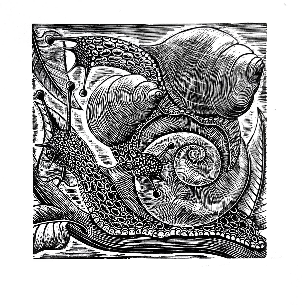 ‘Rout’ Original Wood Engraving