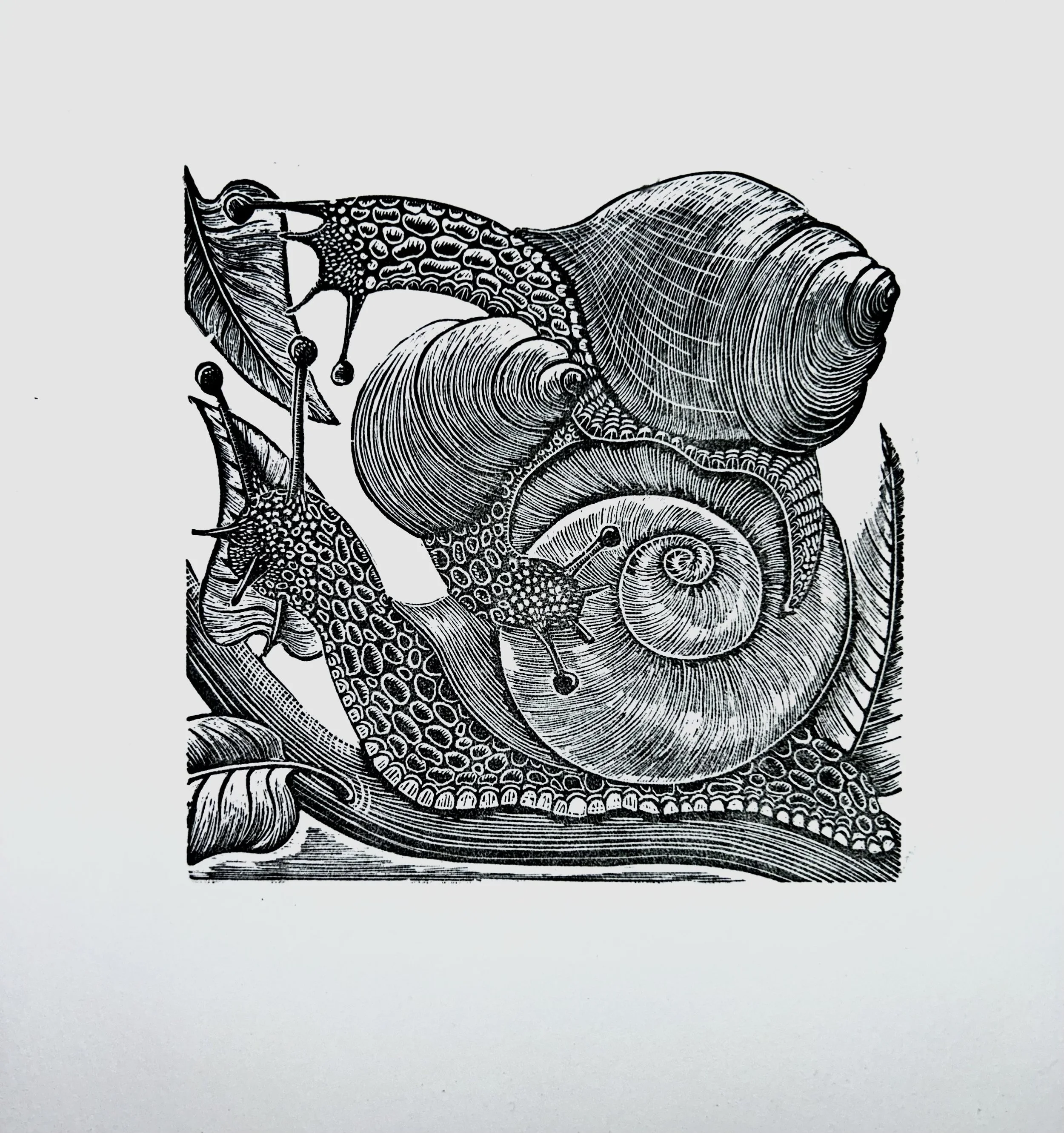 ‘Rout’ Original Wood Engraving