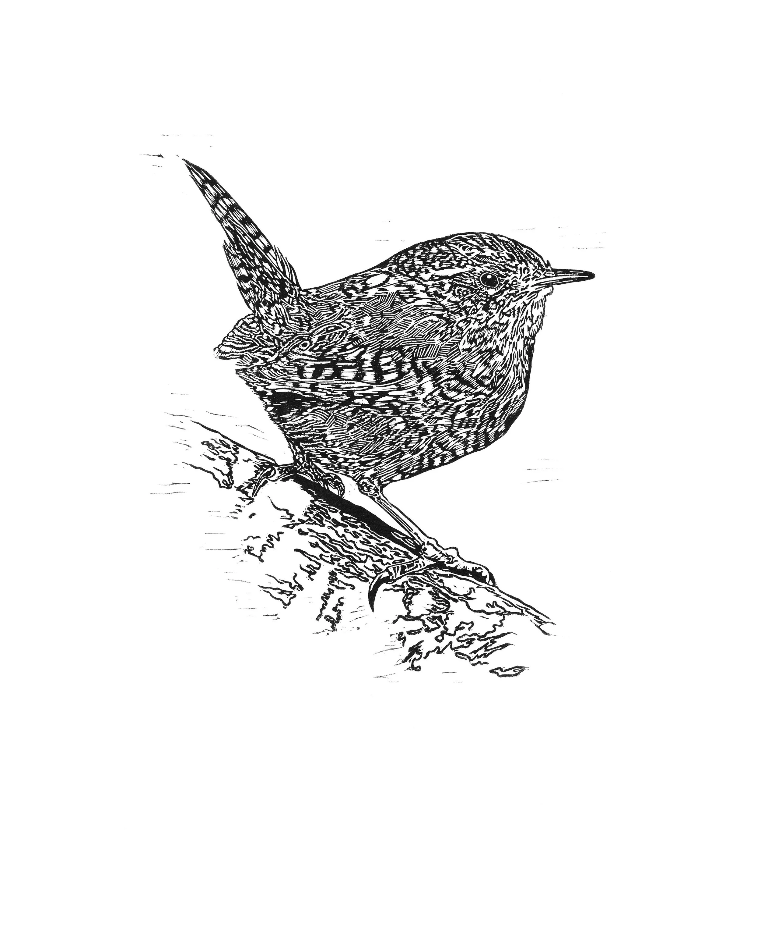 ‘Wren’ Original Linocut Print