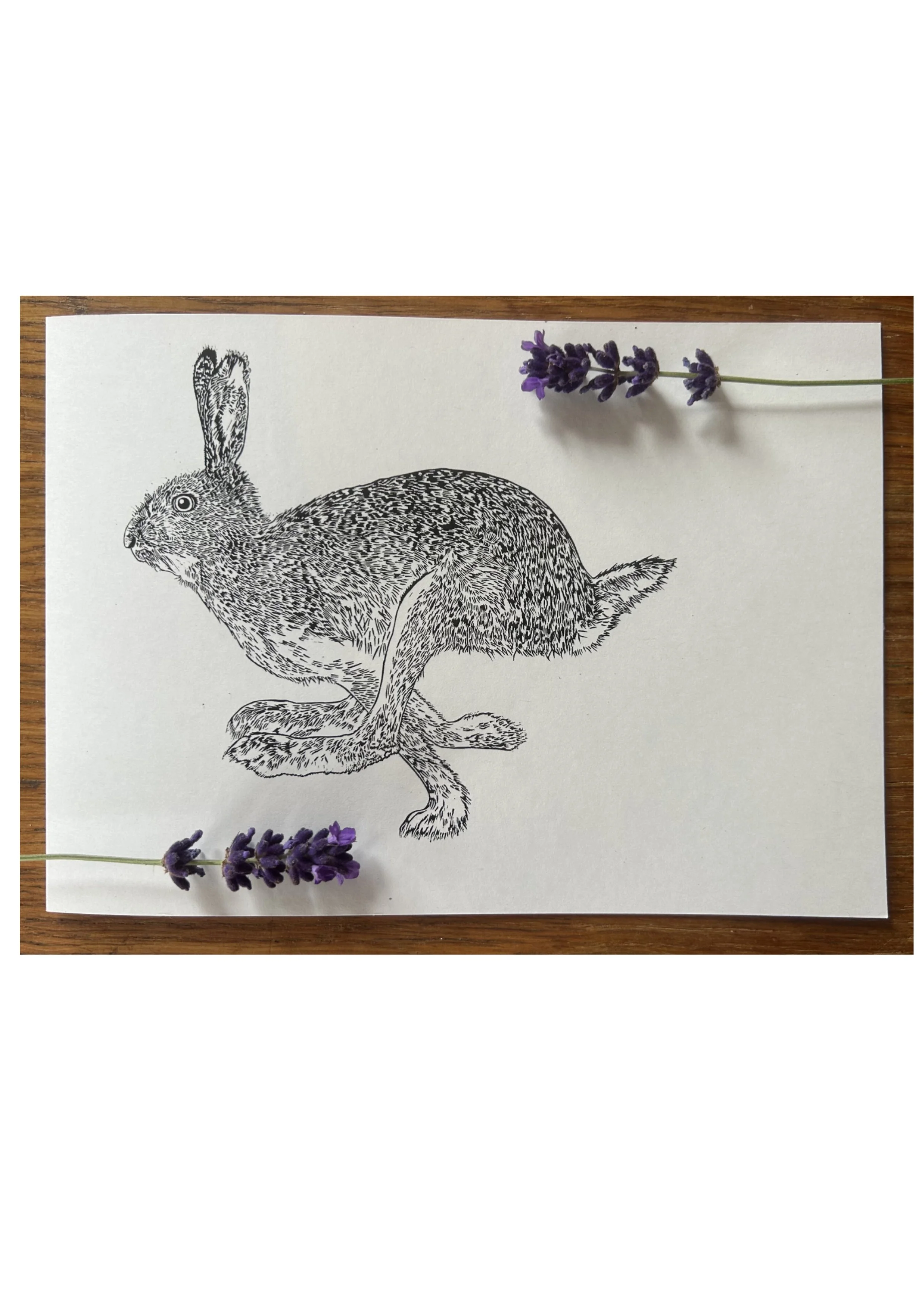 Hare Greeting Card (A5)