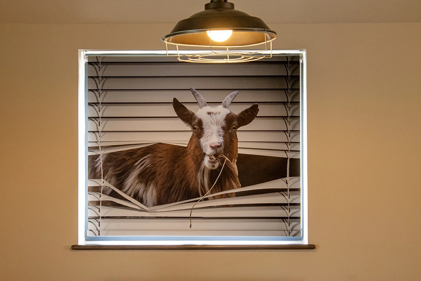 Cusgarne_27thJUL26_16.jpg