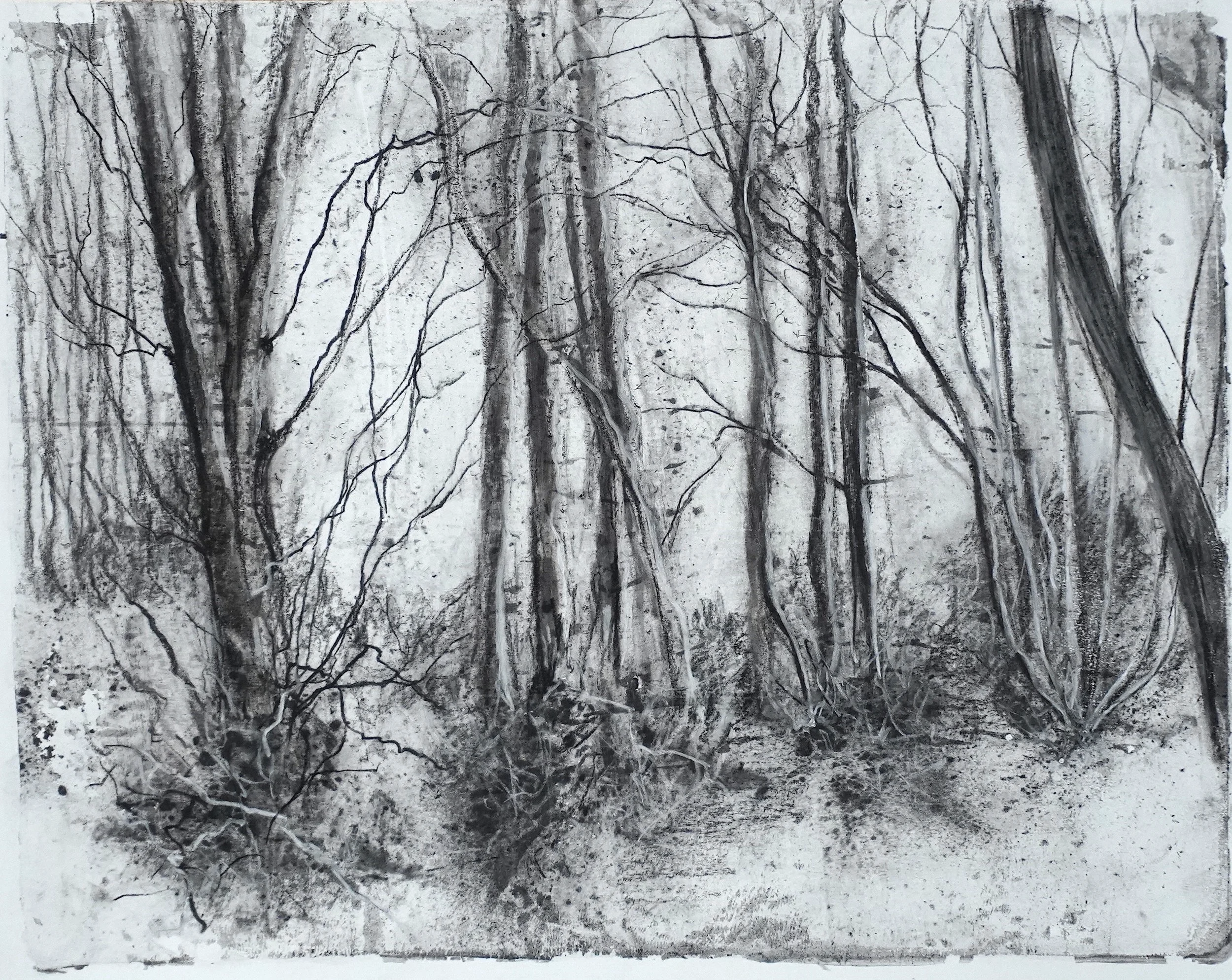 Winter Wood II - Charcoal Media, 25x19xcm