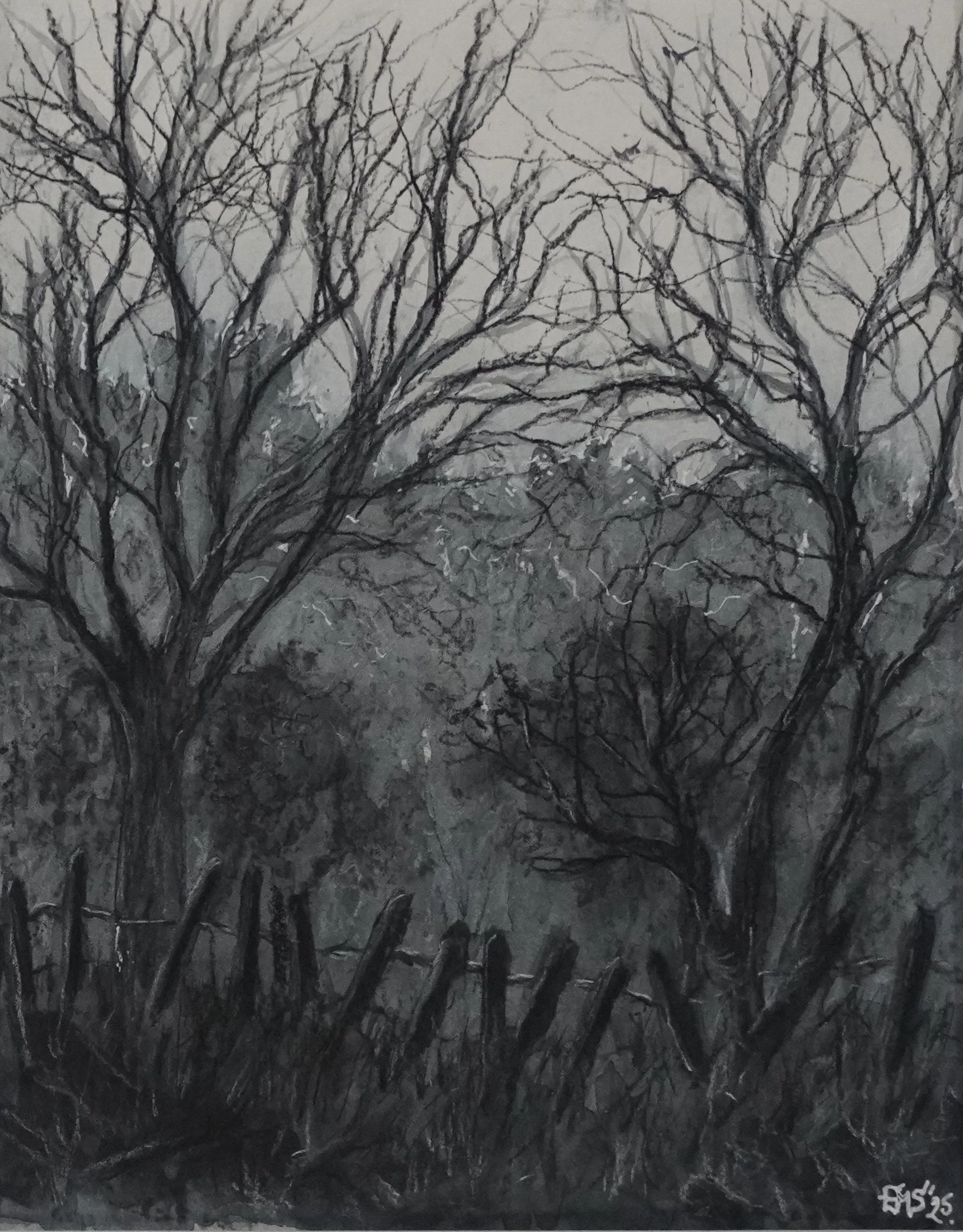 Woods - Watercolour and charcoal 15x19 cm