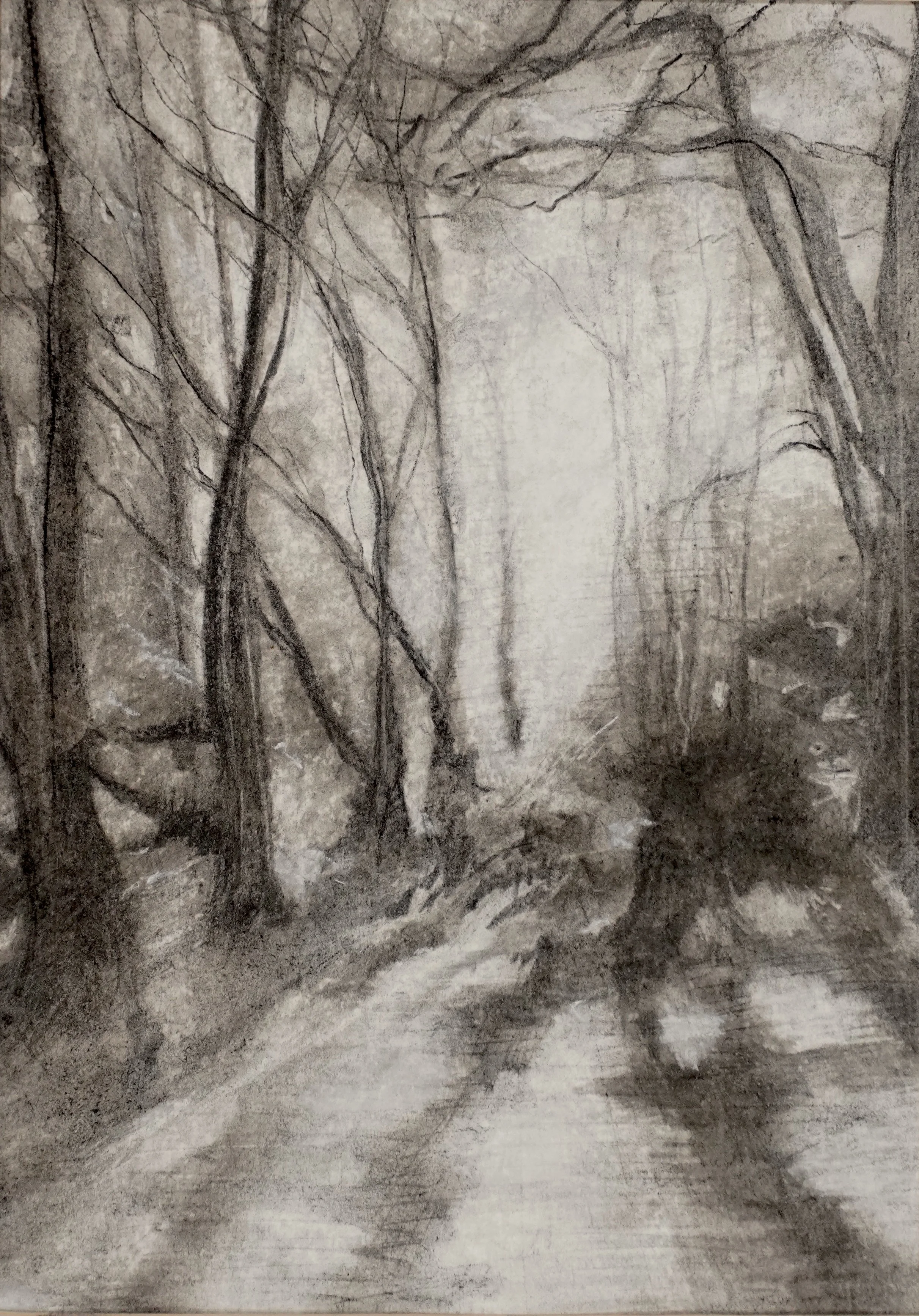 Tree Shadow - Charcoal 30x40cm
