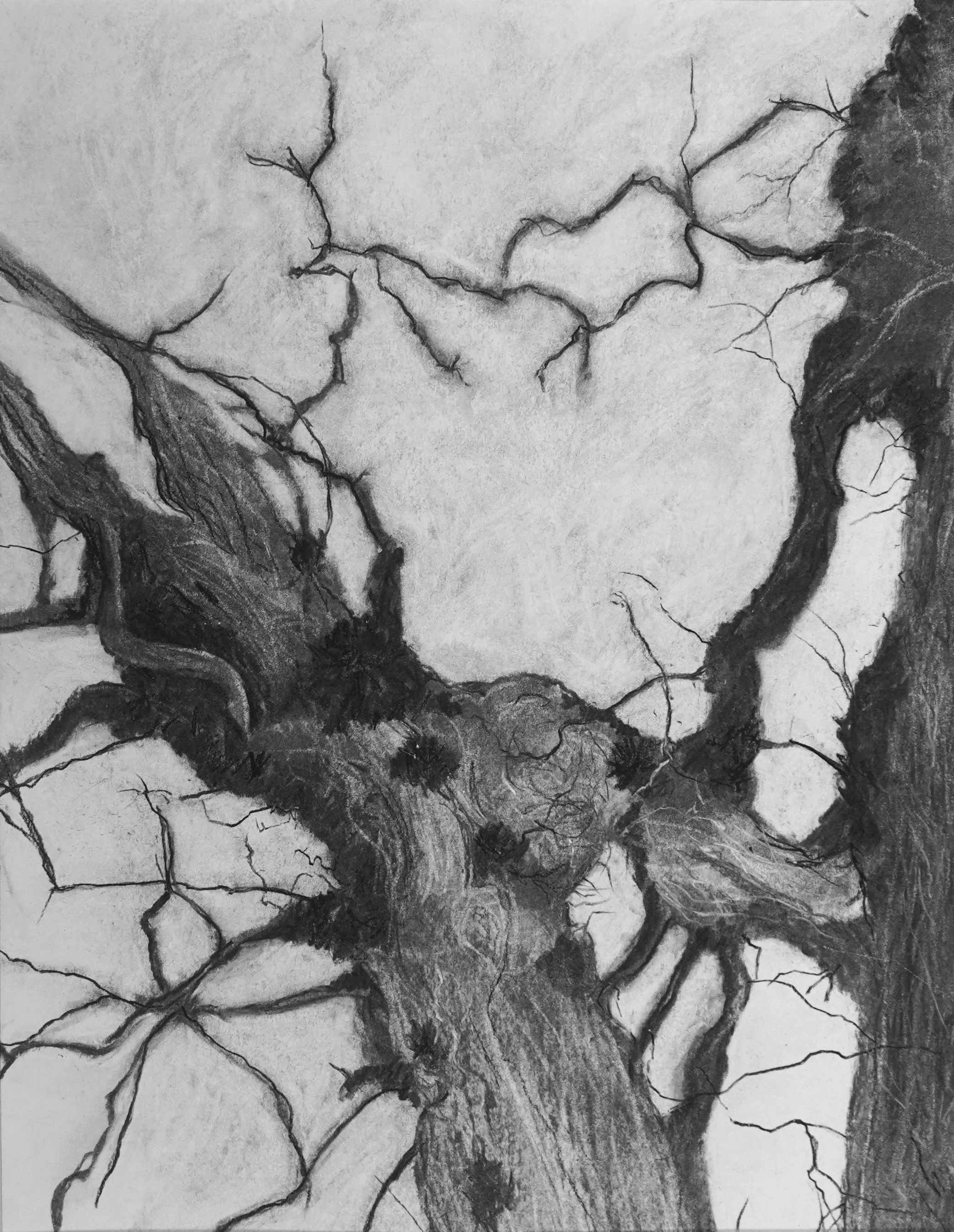 Arabella Branches I - Charcoal, 36x43cm