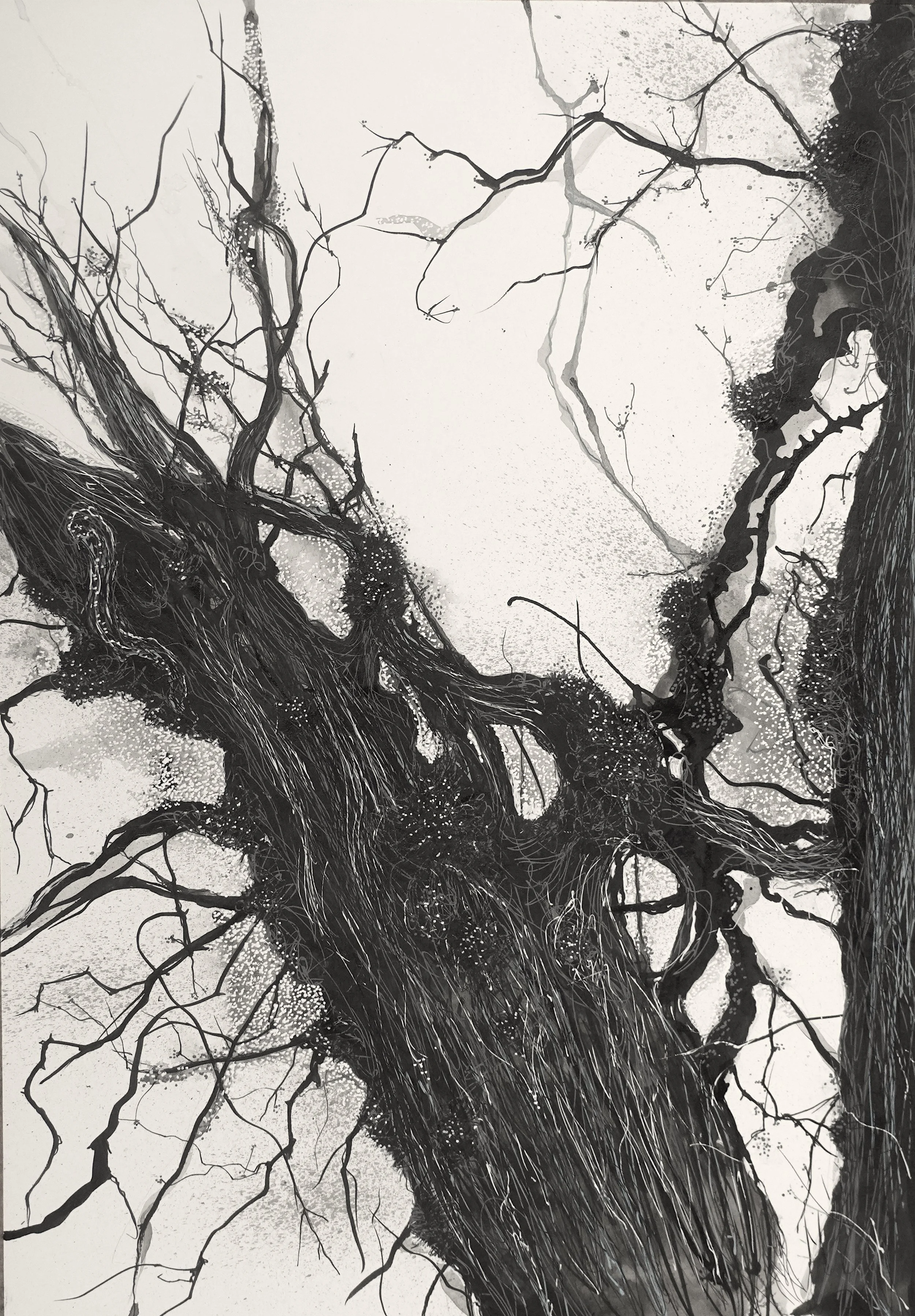 Arabella Branches II - Inks, 36x43cm