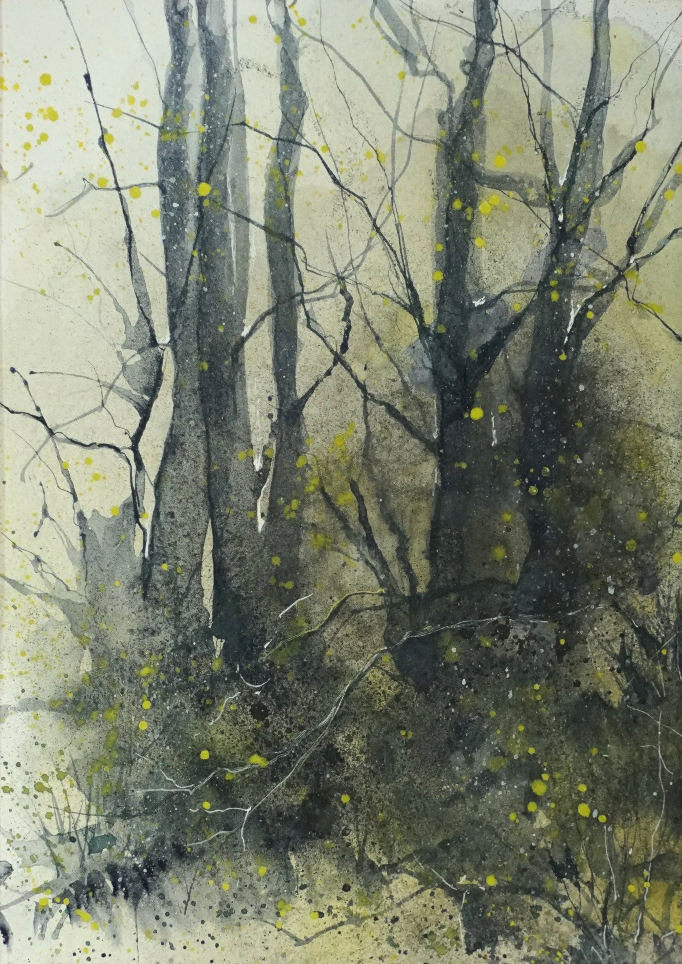 Limes - Watercolour 30x40cm