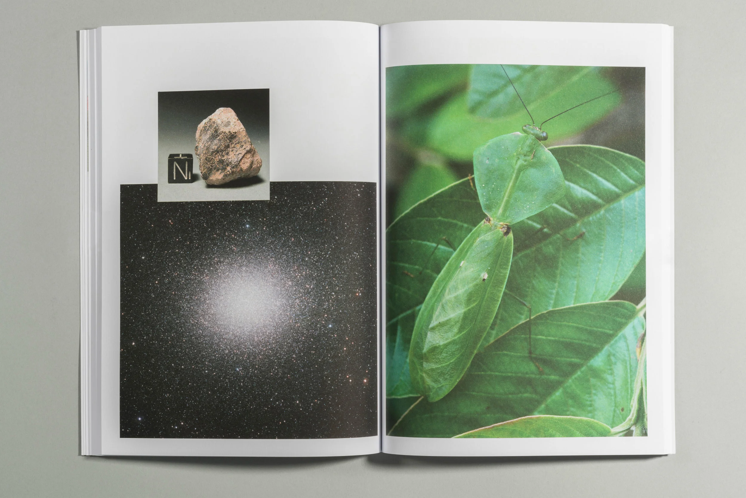 sc10yearBook7.jpg