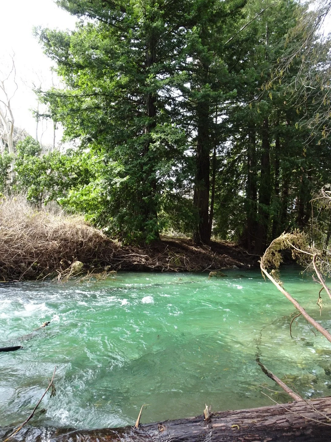 Countering the Current