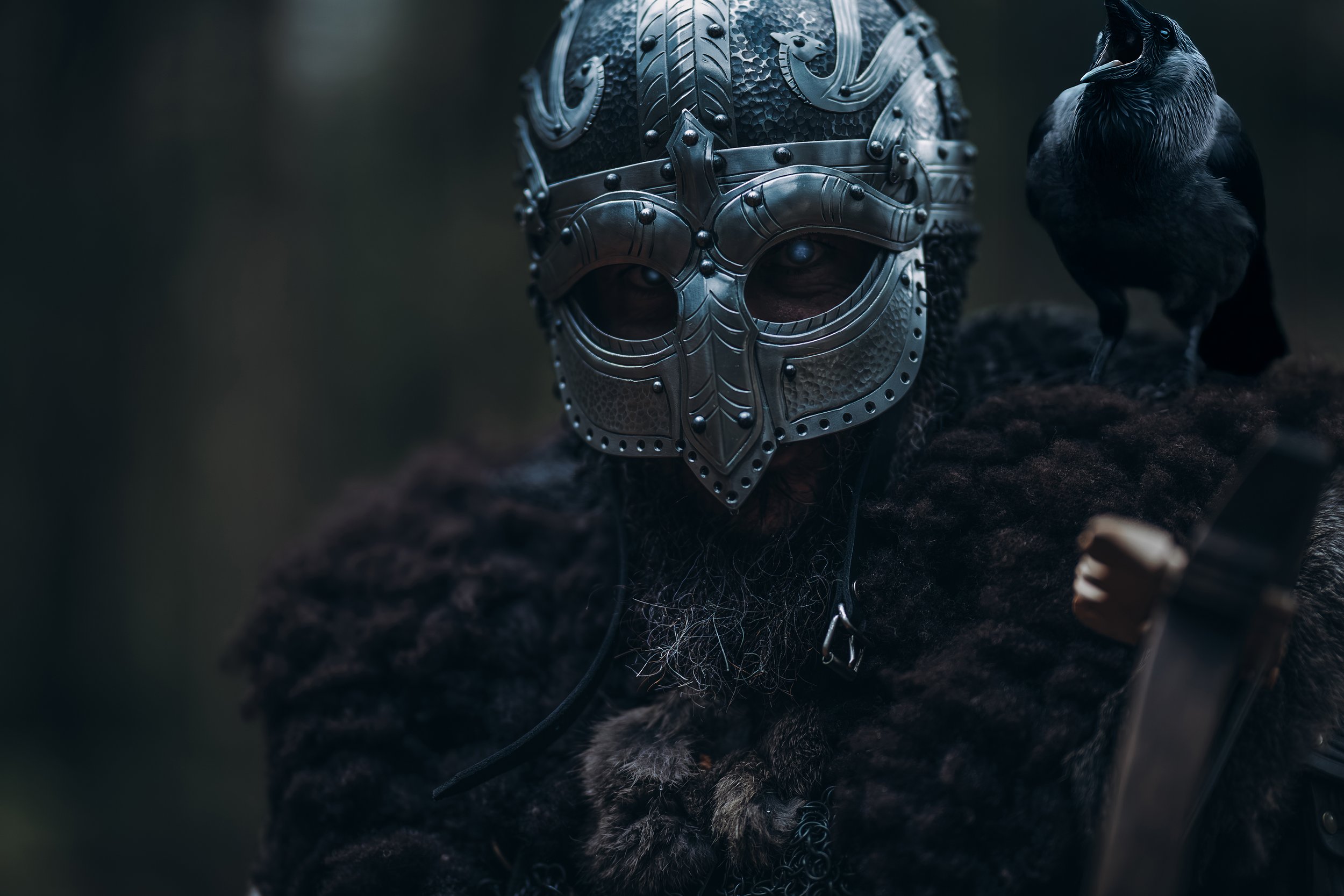 Sleipnir Helmet viking jp photographe Skáldhrafn (63).jpg