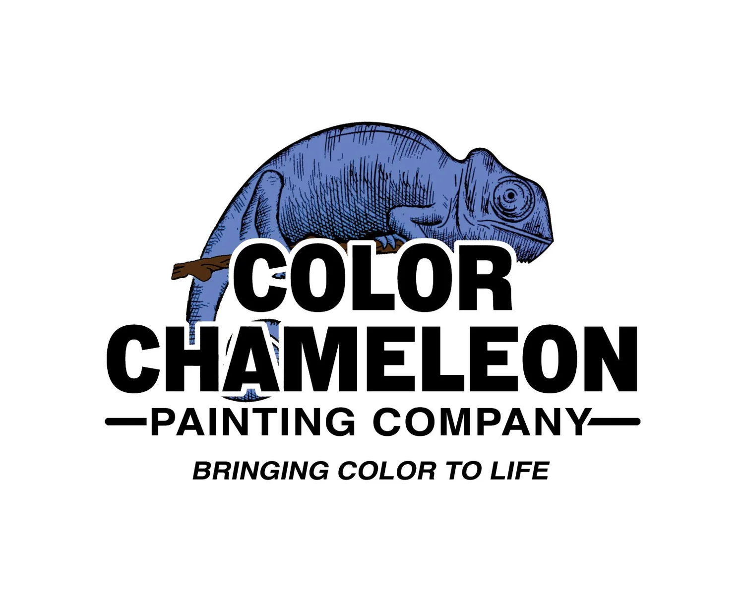 Color Chameleon Paint Company
