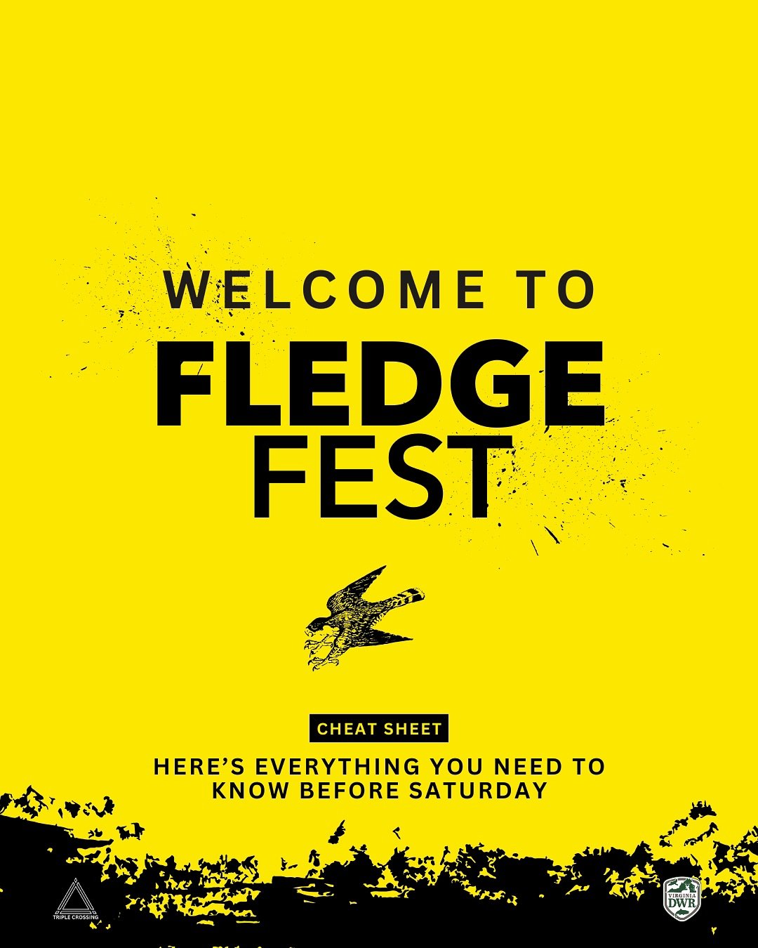 Fledge Fest is TOMORROW 🐦⚡️ and we, along with @virginiawildlife, have your full cheat sheet to help you plan the perfect fly-by.

From live bird shows and kid-friendly crafts, to local vendors, outlaw tunes, and a dunk tank built to cool you off &m