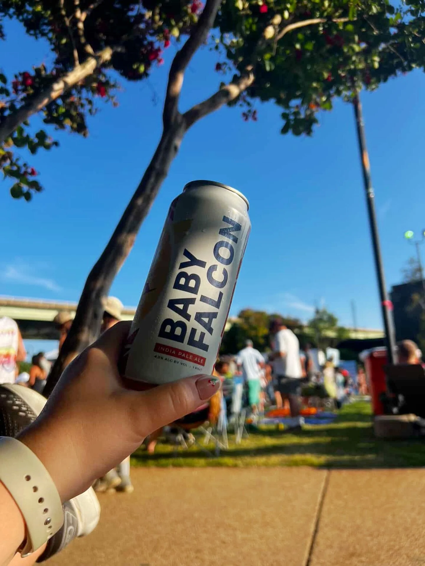 There&rsquo;s just something about cracking open a fresh Baby Falcon on a day like today &mdash; it&rsquo;s crisp, light, and made for RVA adventures.

Can&rsquo;t make it to the taproom? No worries. You can still find select 4-packs like Falcon Smas