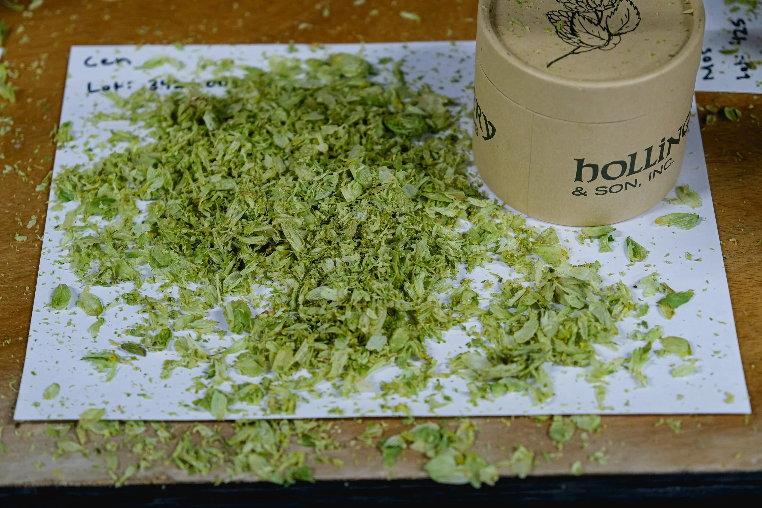 Very Serious Hop-Sniffin’ Business
