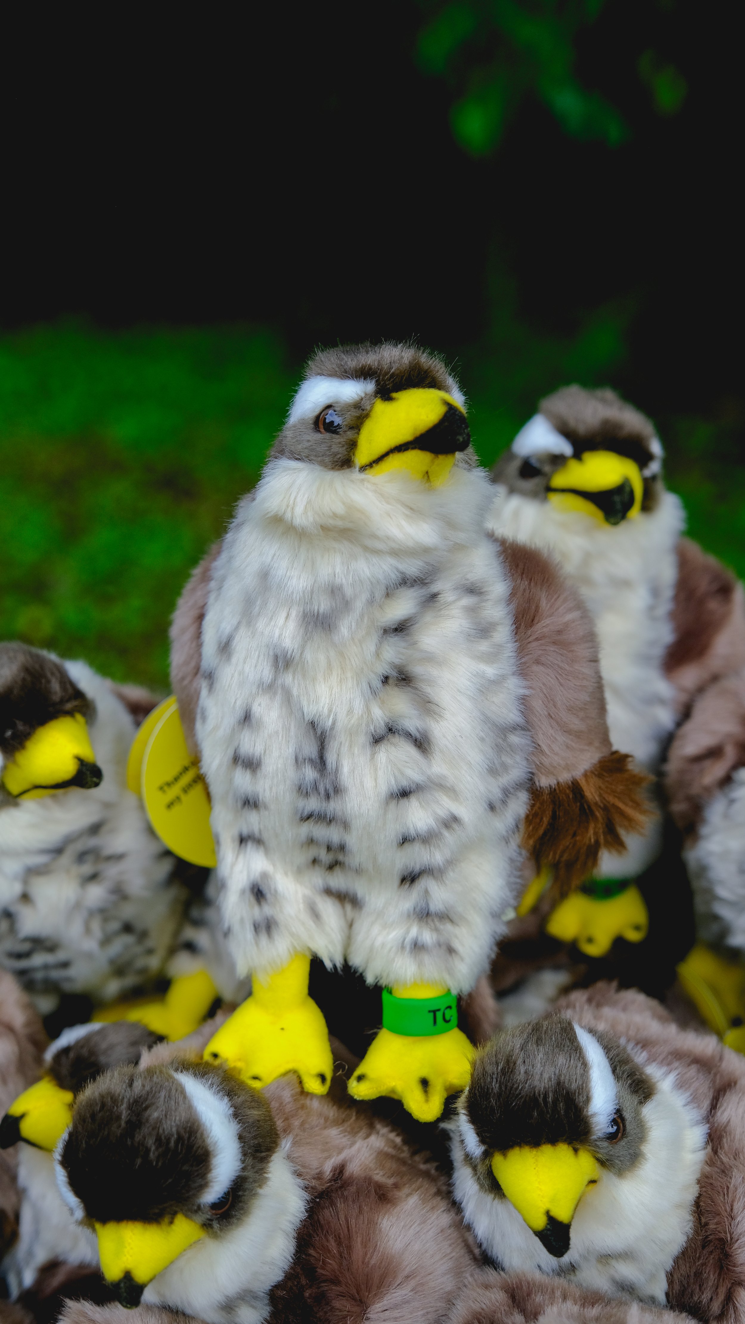 Falcon Plushie