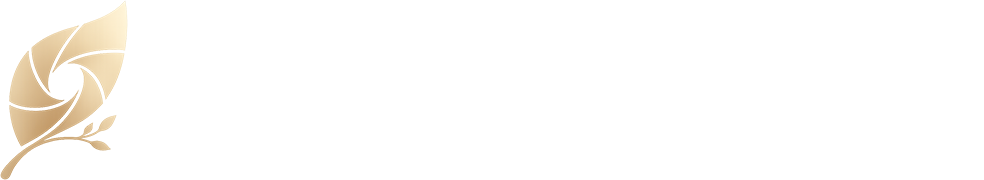 Linsenblatt.Kollektiv