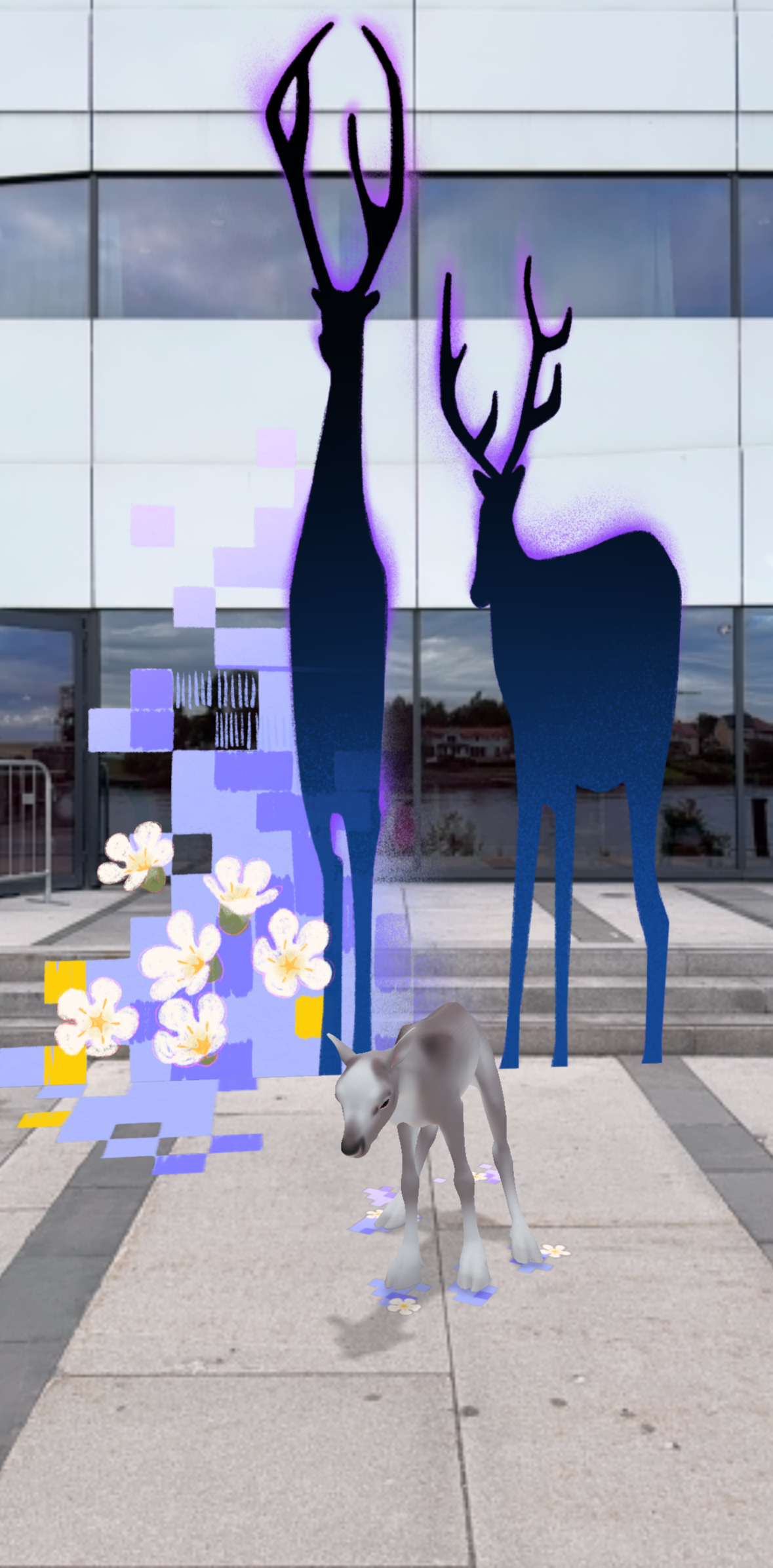 IMG_9491.png