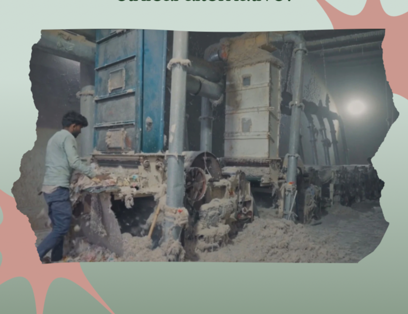 Textile recycling: how truly effective is it as an ethical alternative? 