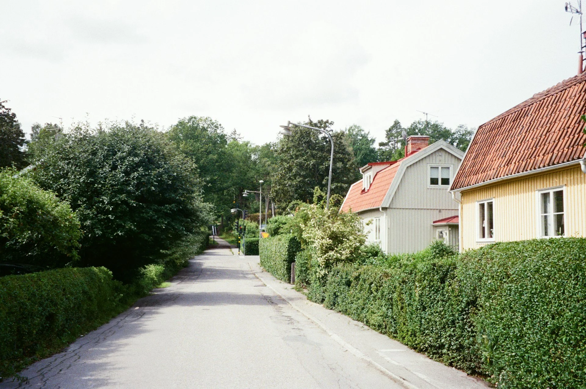 Solving Privacy Issues with Strategic Residential Landscaping