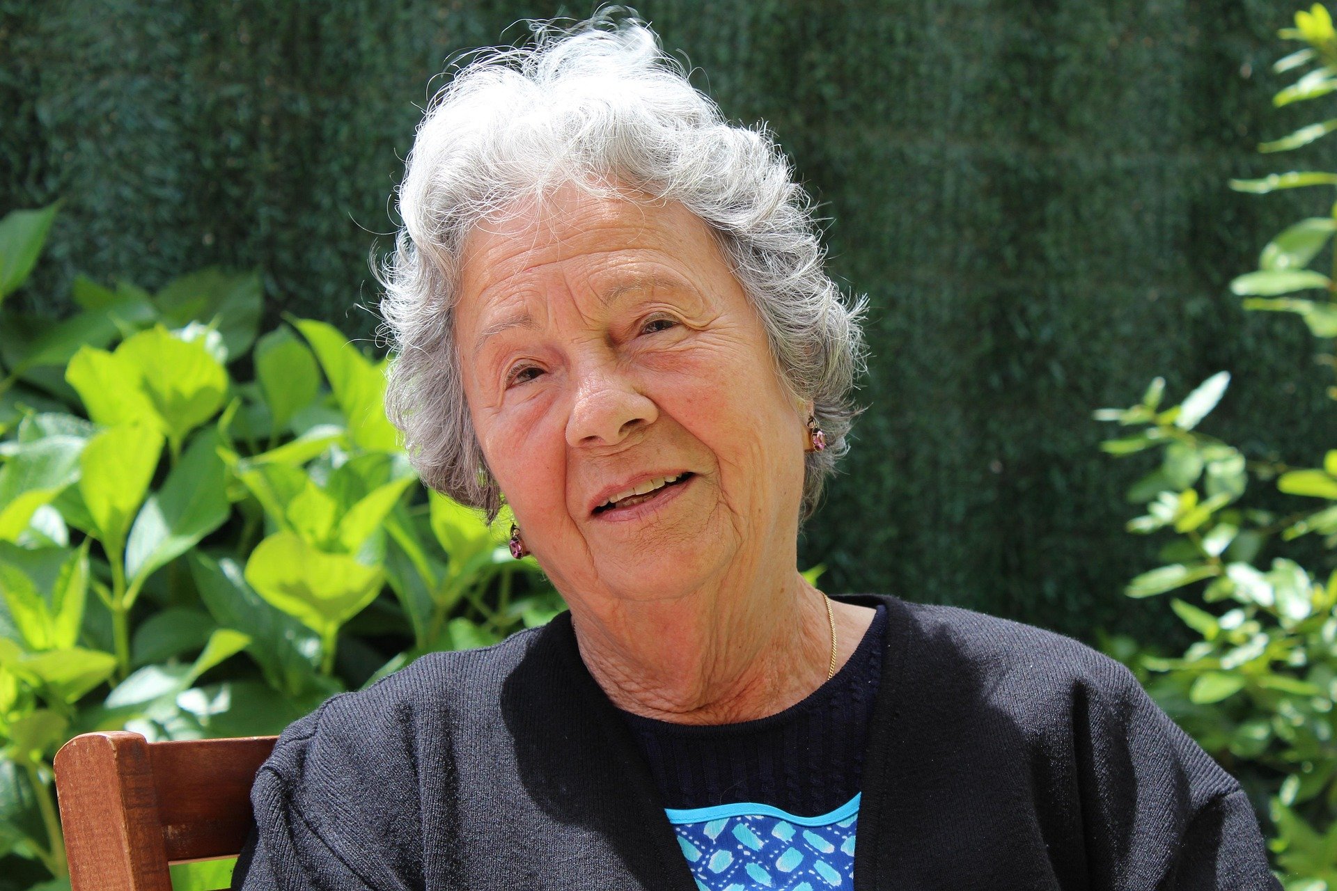 almadrava-grandma-506341_1920.jpg