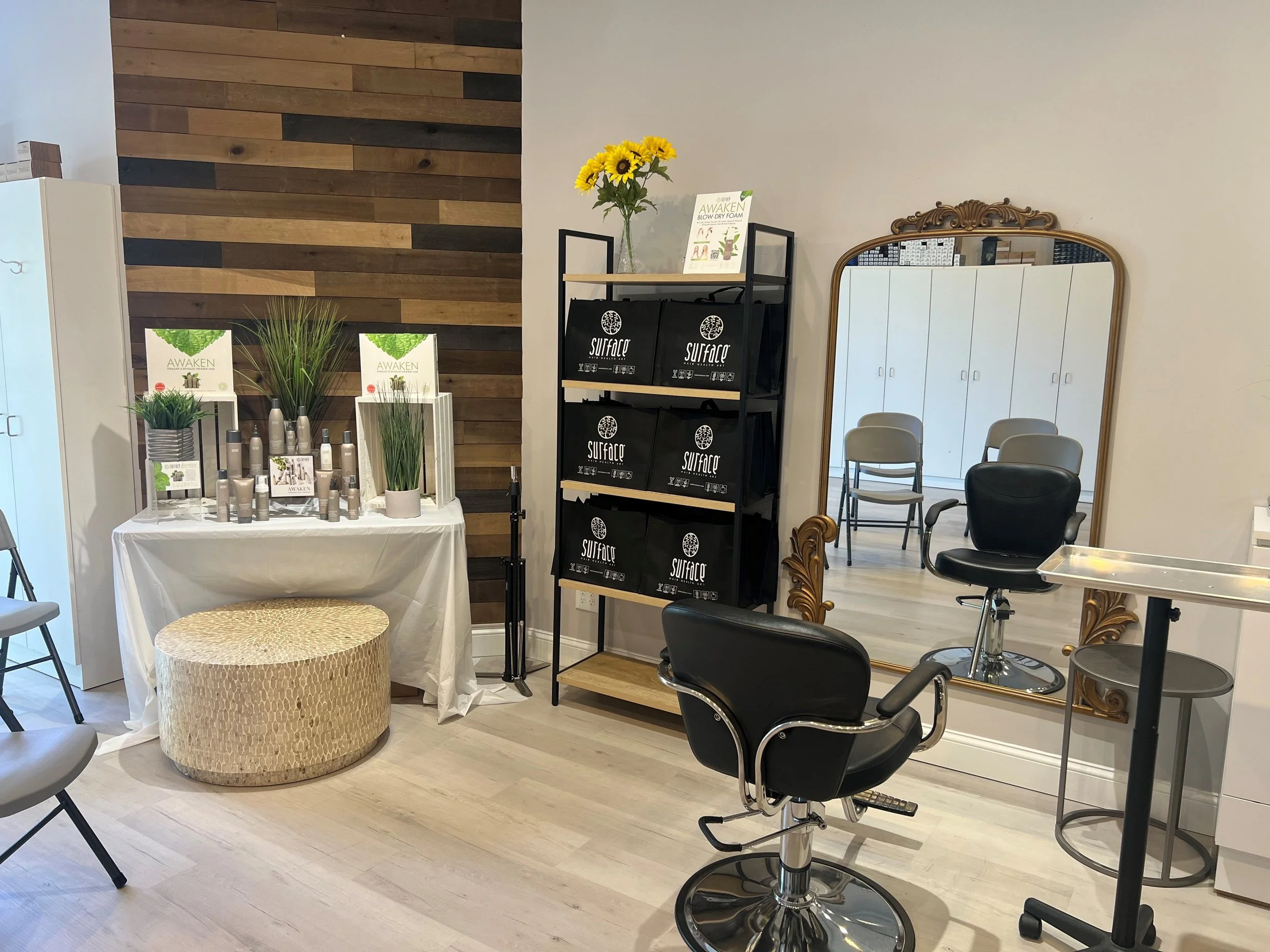 A&A_Albany Classroom_2023.jpg