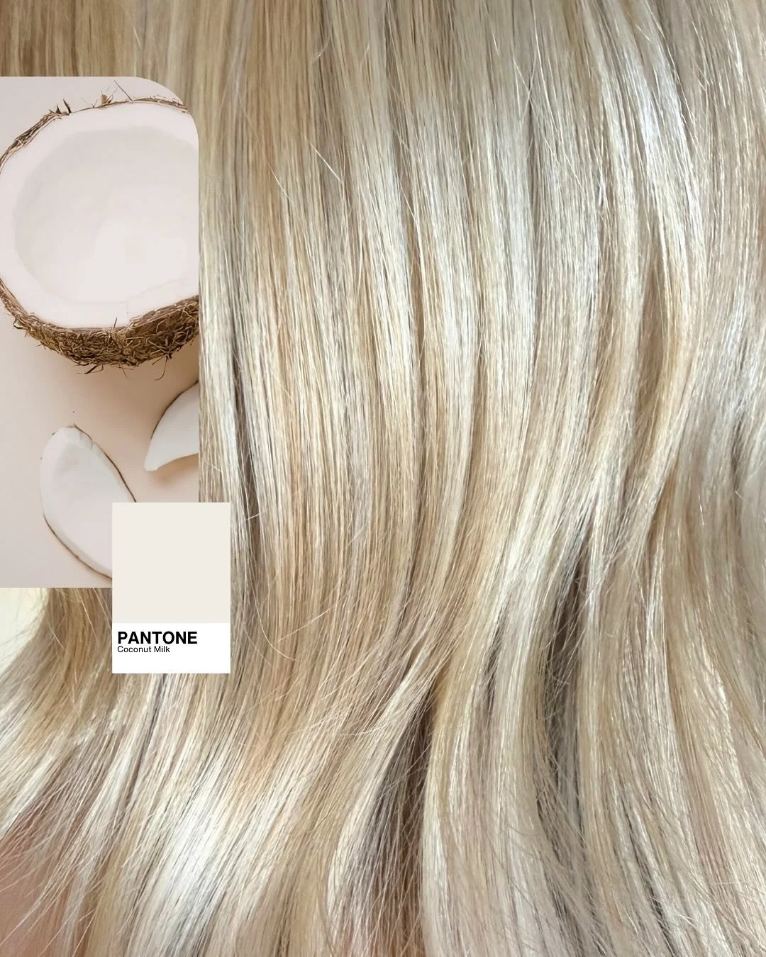 Fresh season, fresh blondes 🌸✨

Soft dimension is taking over this spring&mdash;think Coconut Milk, Iced Latte, and Buttercream tones that balance brightness with just the right amount of warmth. Effortless, creamy, and made to glow behind the chair