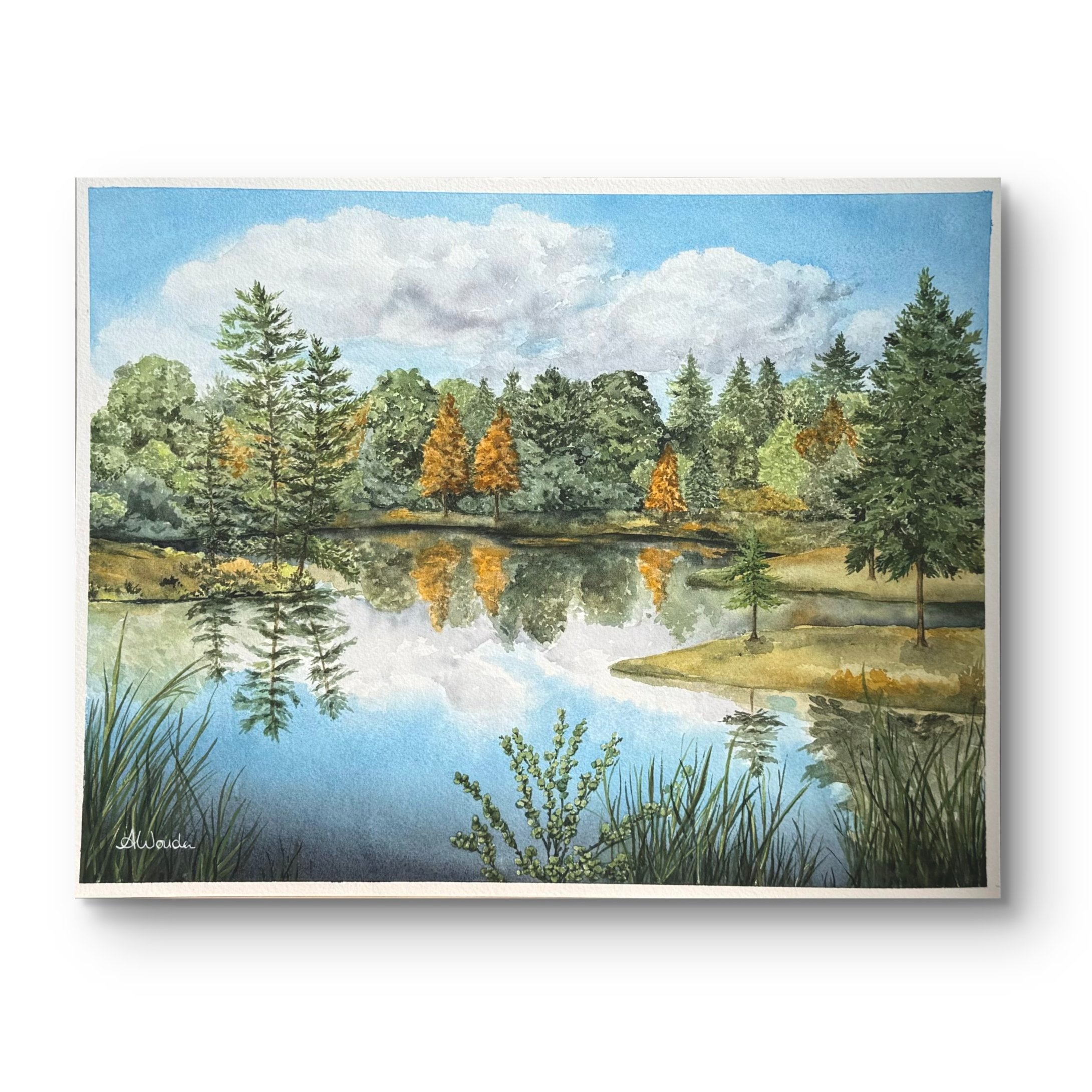 at+the+pond+website.jpg