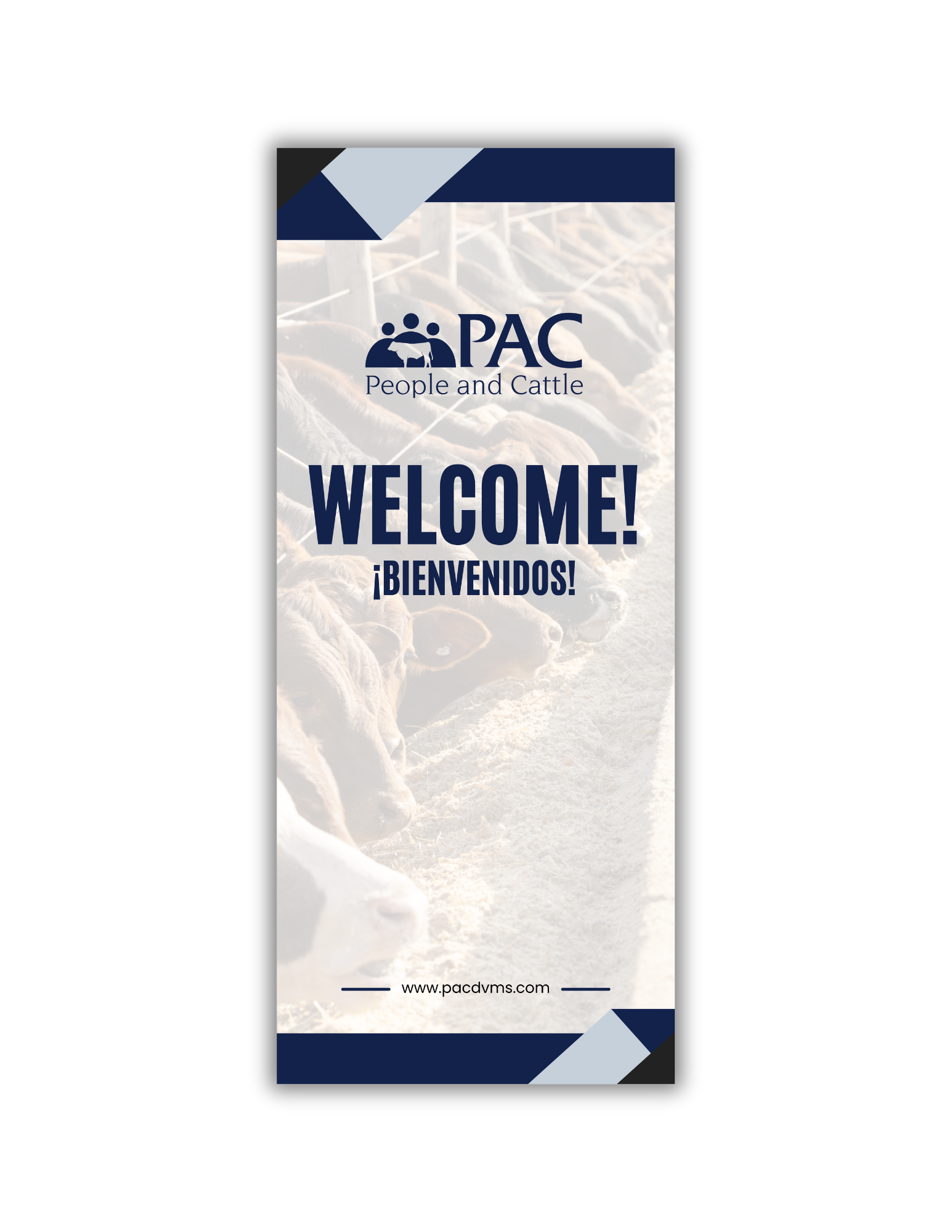 PAC Popup Banner Proof 2.png