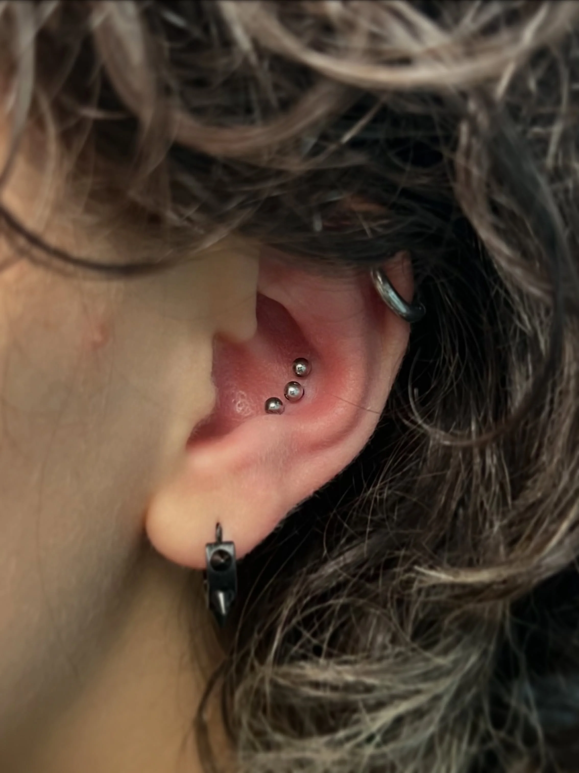 Hay proyectos que empiezan poco a poco&hellip; y otros que nacen completos desde el primer d&iacute;a.

Este triple conch se realiz&oacute; en una sola sesi&oacute;n. S&iacute;, las tres perforaciones de una vez.

Ahora lleva unos labrets b&aacute;si