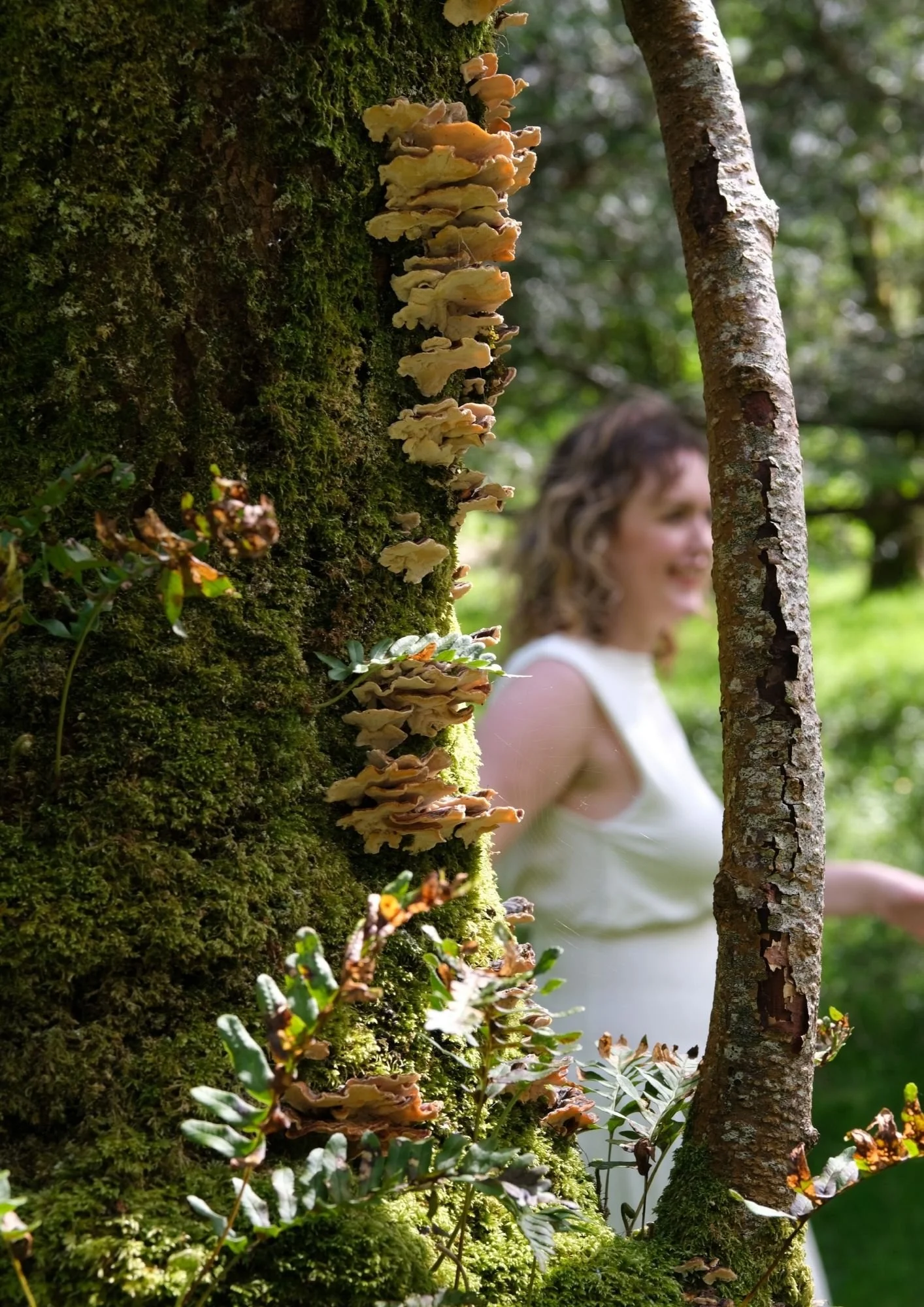 about-moyra-outdoor-moss-mushroom-tree.jpg