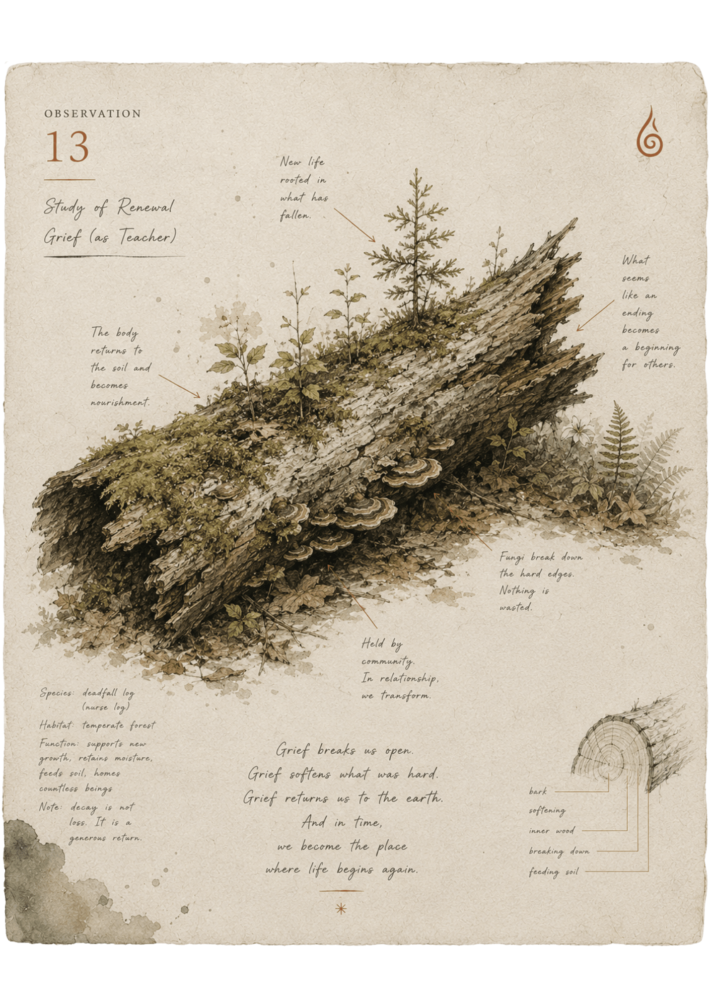 grief as teacher old tree new growth study.png