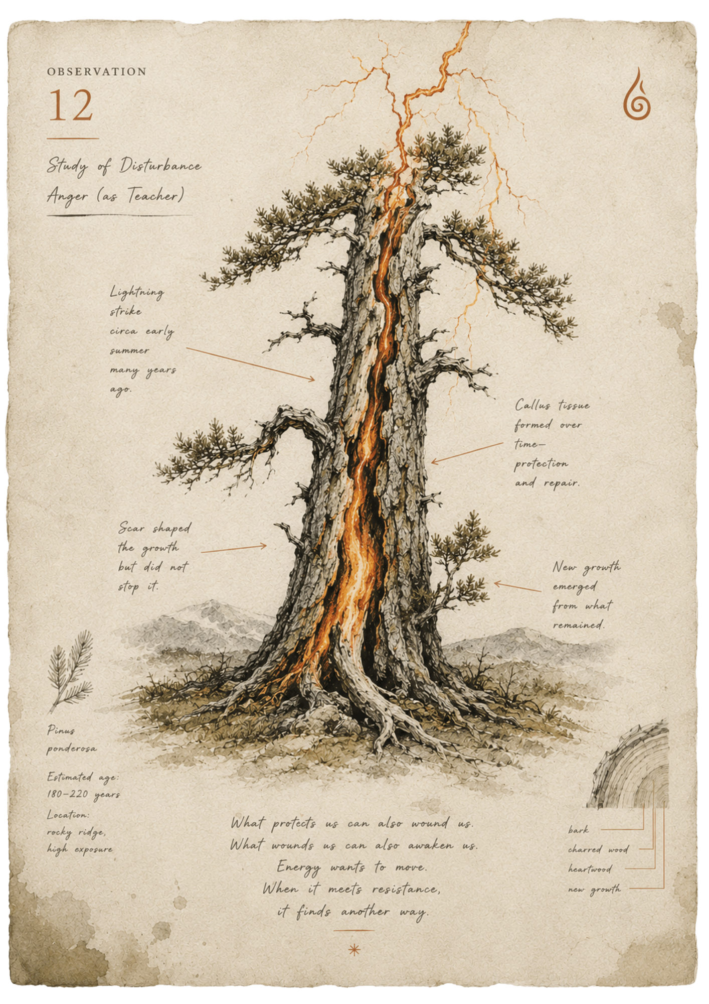 sacred rage anger tree graphic lightening strike.png