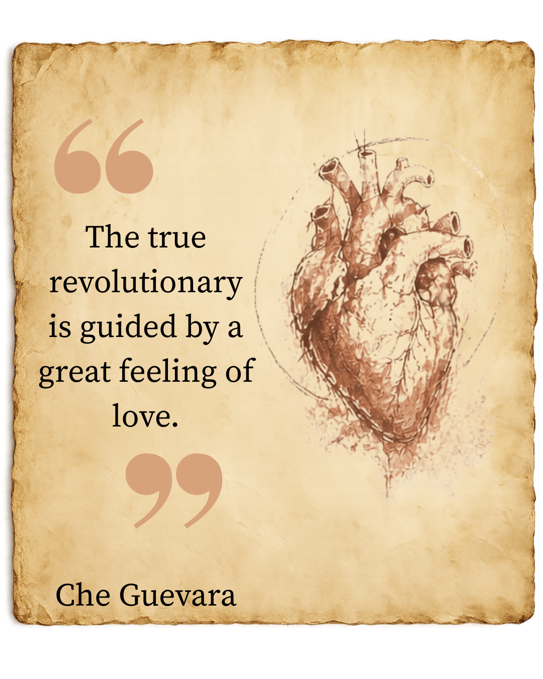 che guevara quote healing is revolutionary love.png