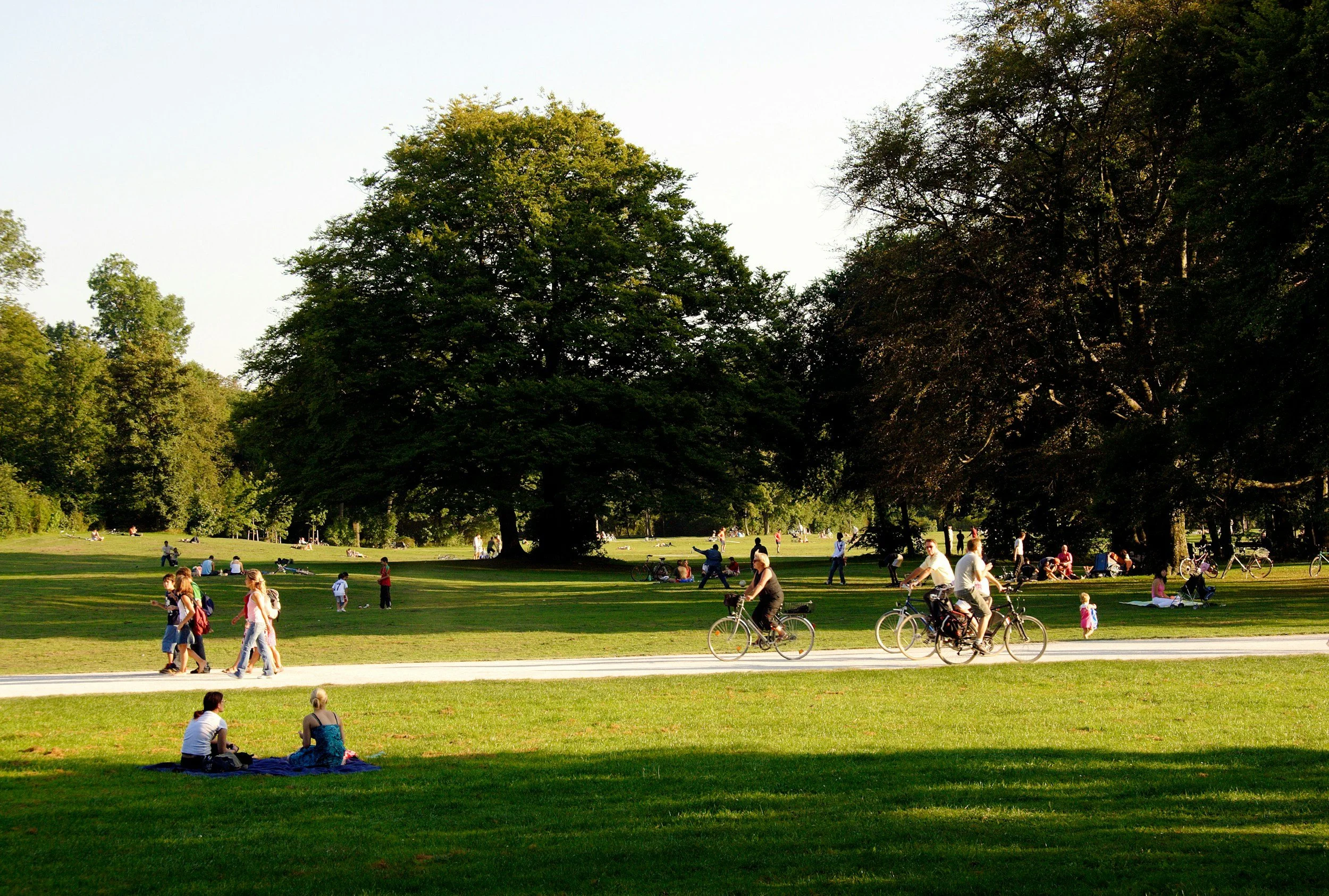 People enjoying a park with green grass and large trees, some walking, biking, and sitting on the grass.