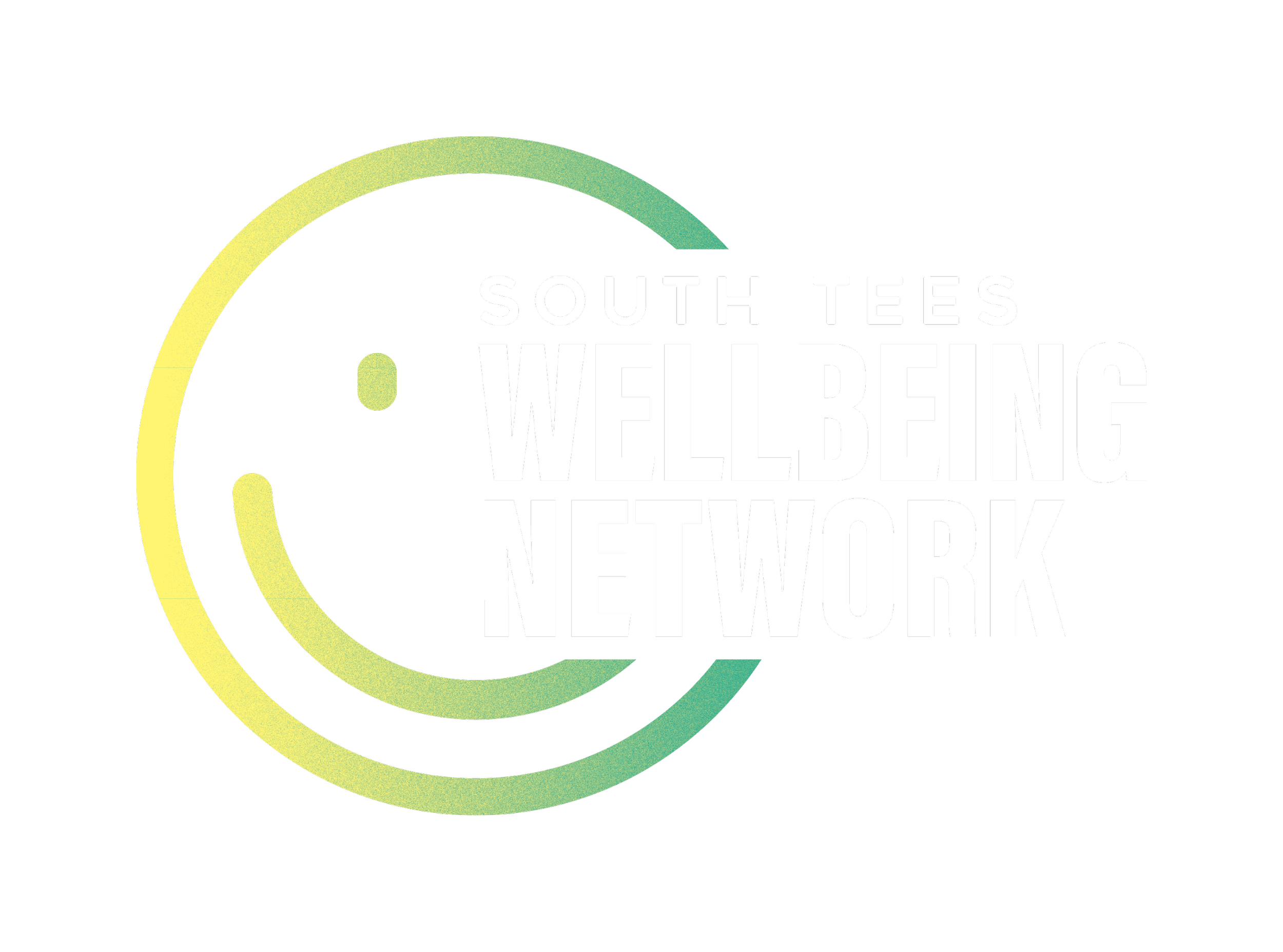 Logo of South TEE'S Wellbeing Network with colorful circular design and black background.