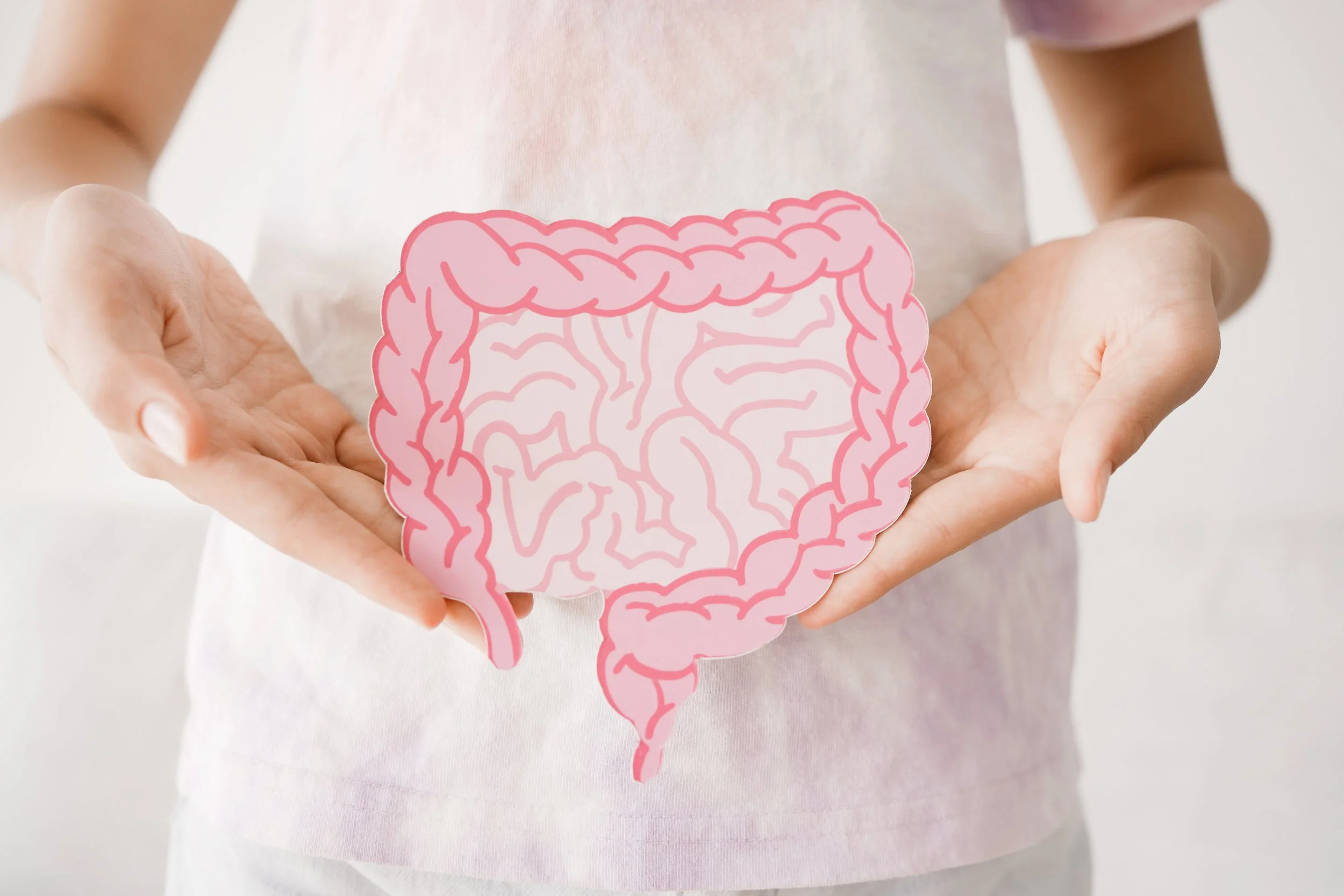 Person holding a pink paper cutout of a human digestive system, including intestines.