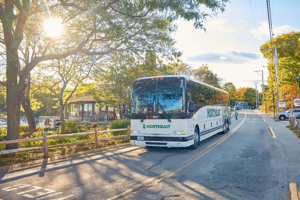 The Role of Local Guides in Enhancing a Fall Foliage Tour