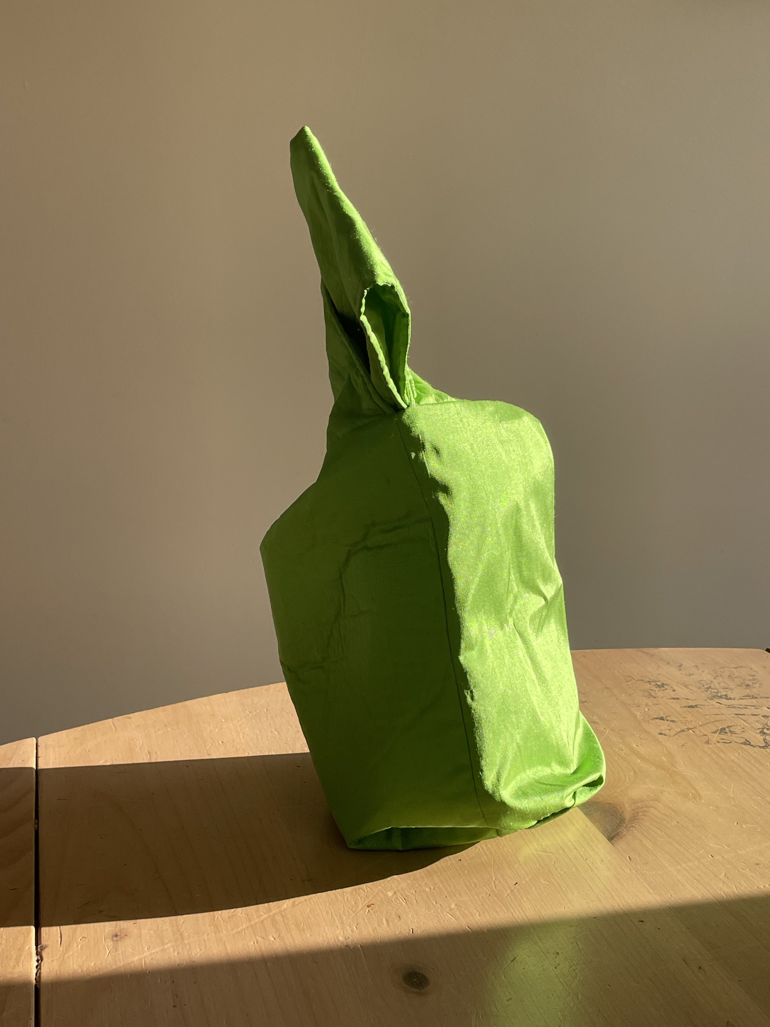 IMG_4199.jpeg