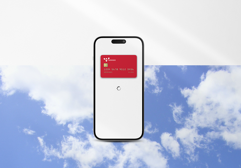 phone-payment-cloud.png