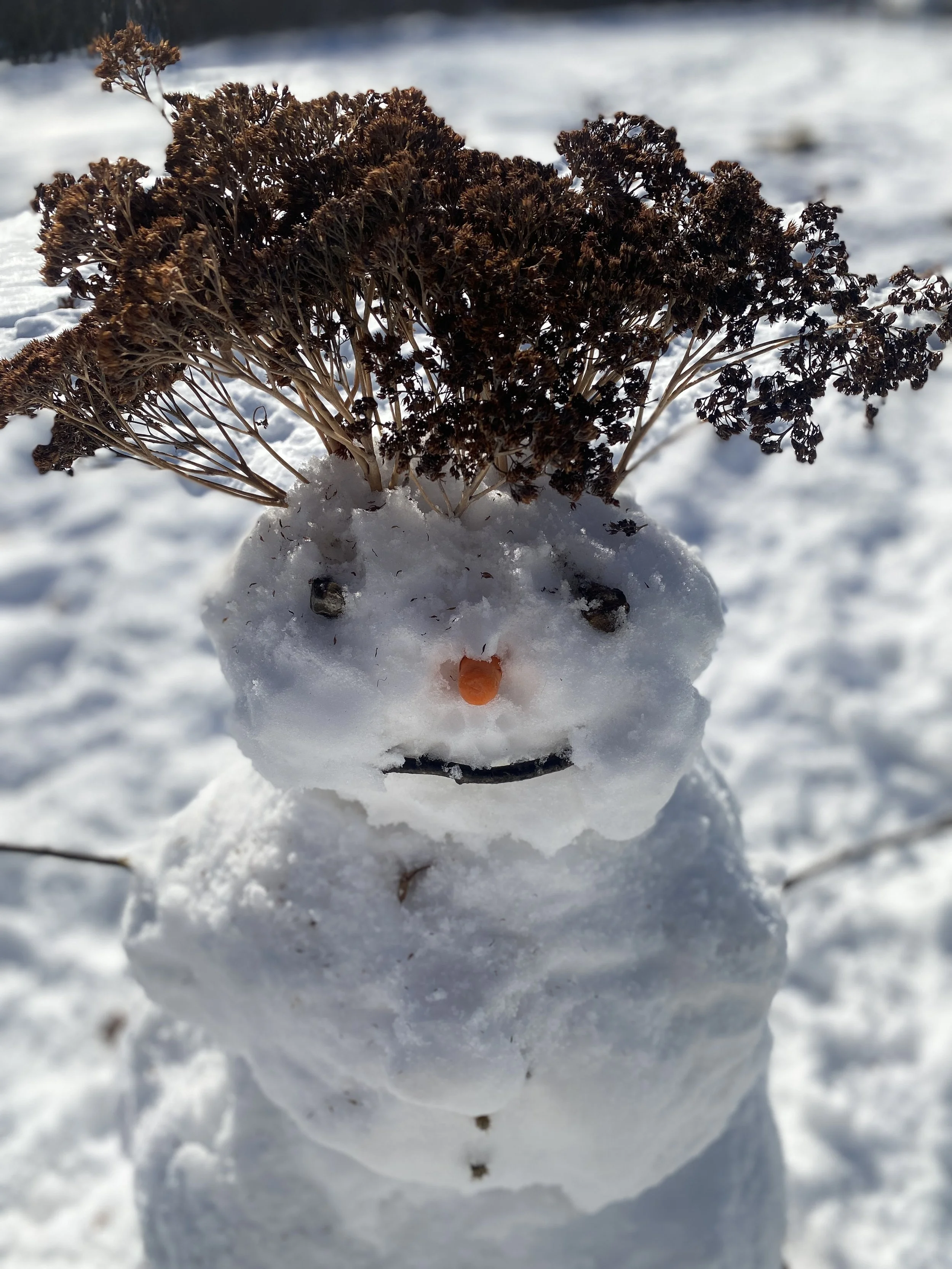 Have Yourself a Sustainable Little Christmas