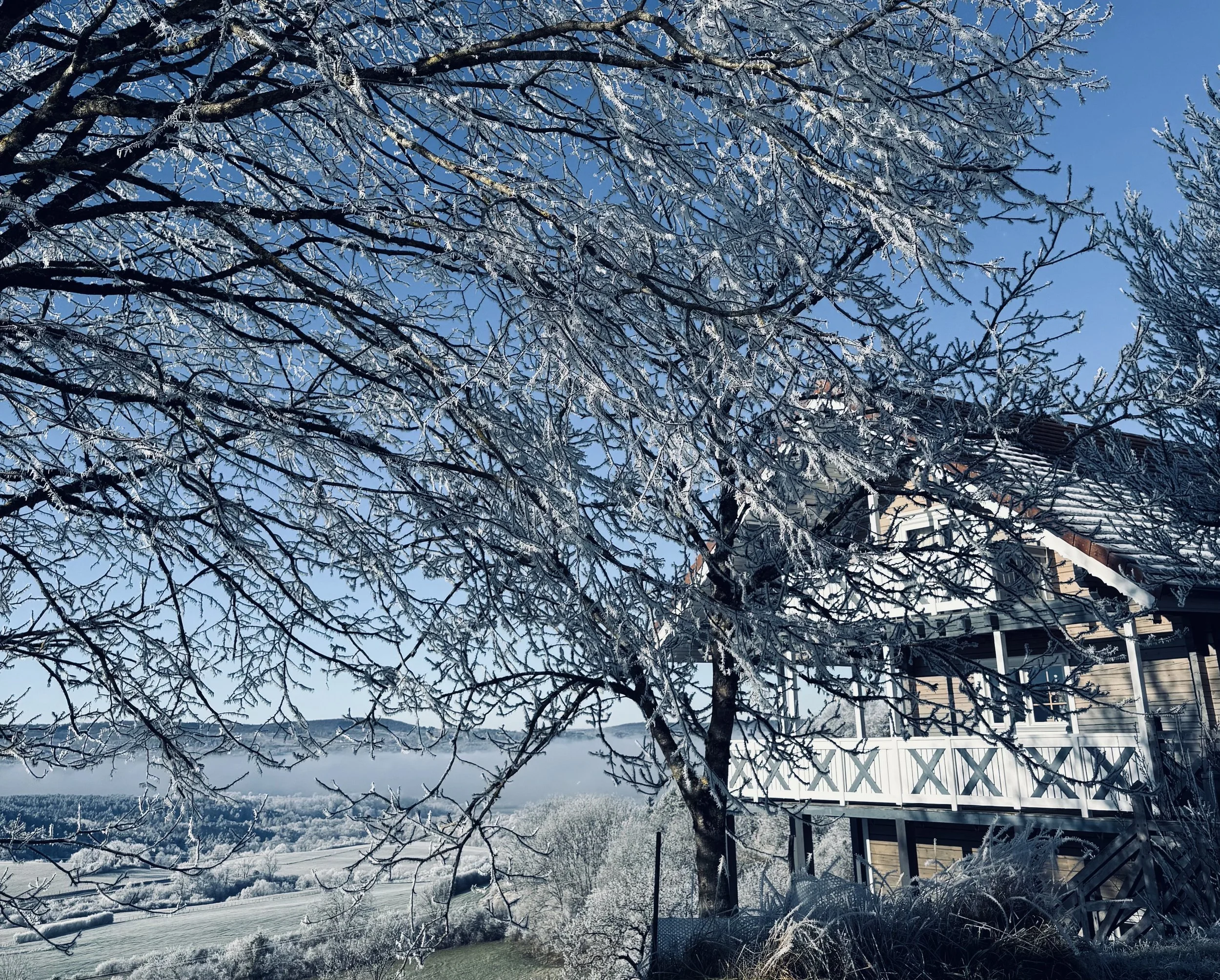 IMG_0986.jpeg