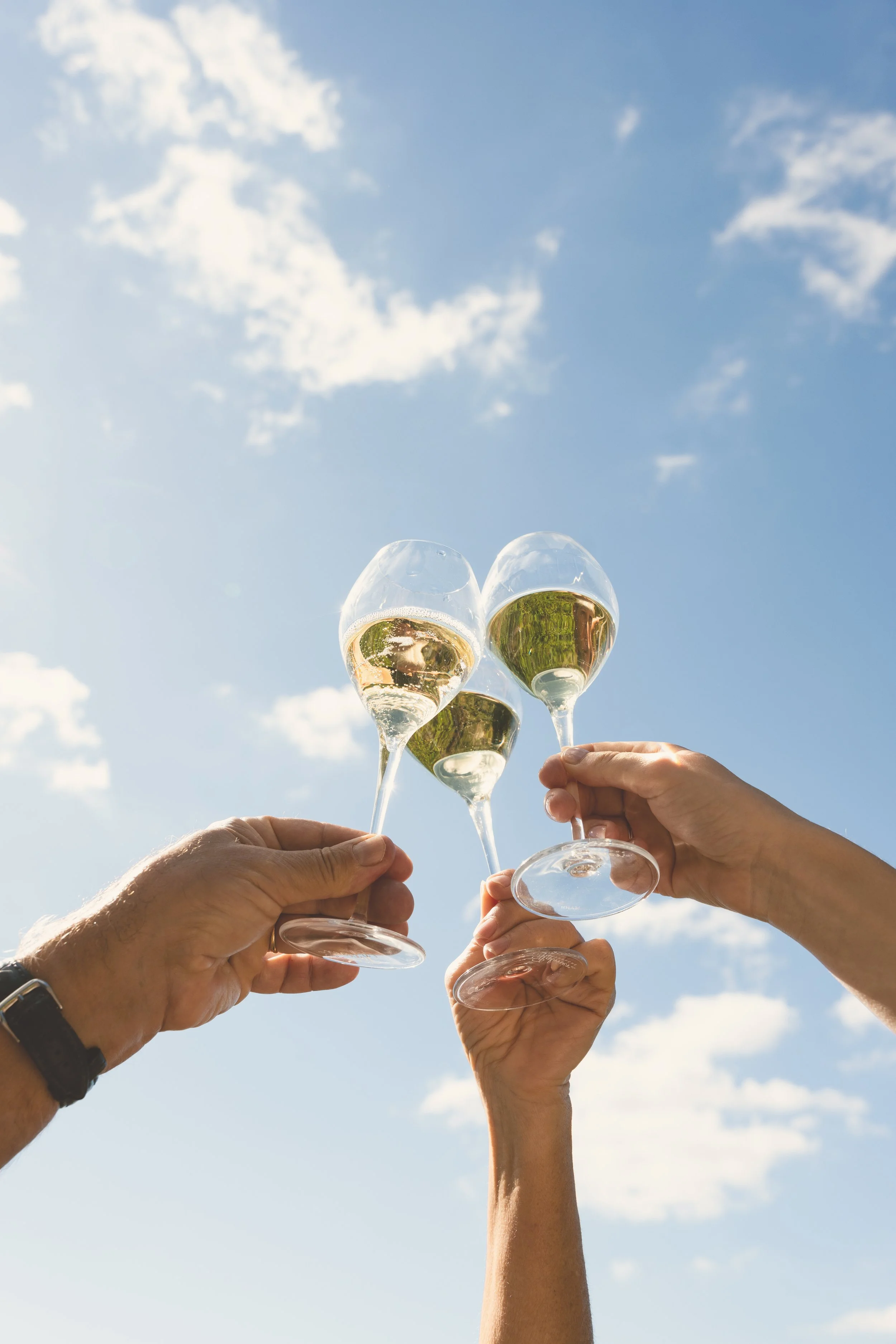 Trois personnes portent un toast avec des verres de vin blanc sous un ciel bleu avec des nuages.