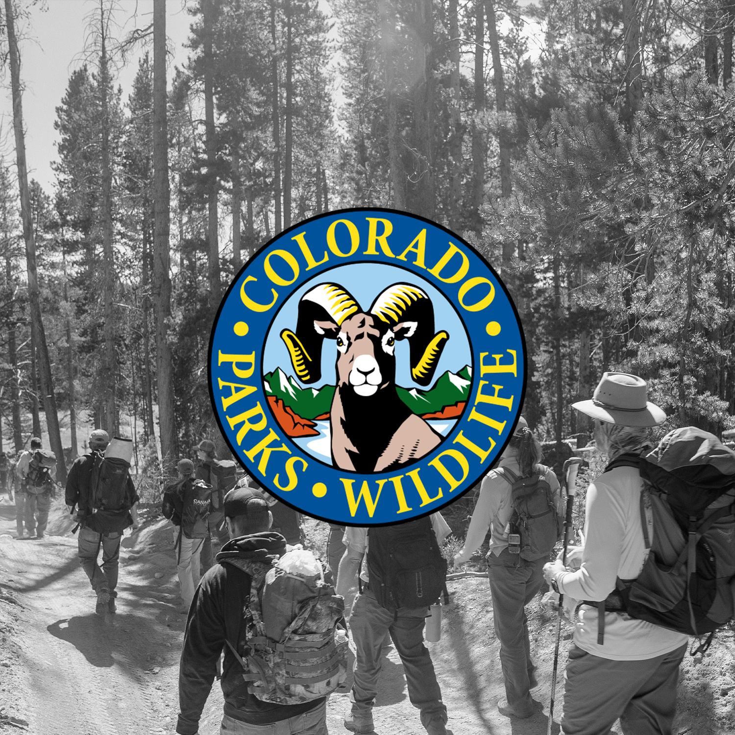                

 
   We joined Trout Unlimited, Colorado Parks and Wildlife, the USDA Forest Service, and the National Park Service to document the reintroduction of Colorado’s state fish, the Greenback Cutthroat Trout—once thought to be extinct. Vo