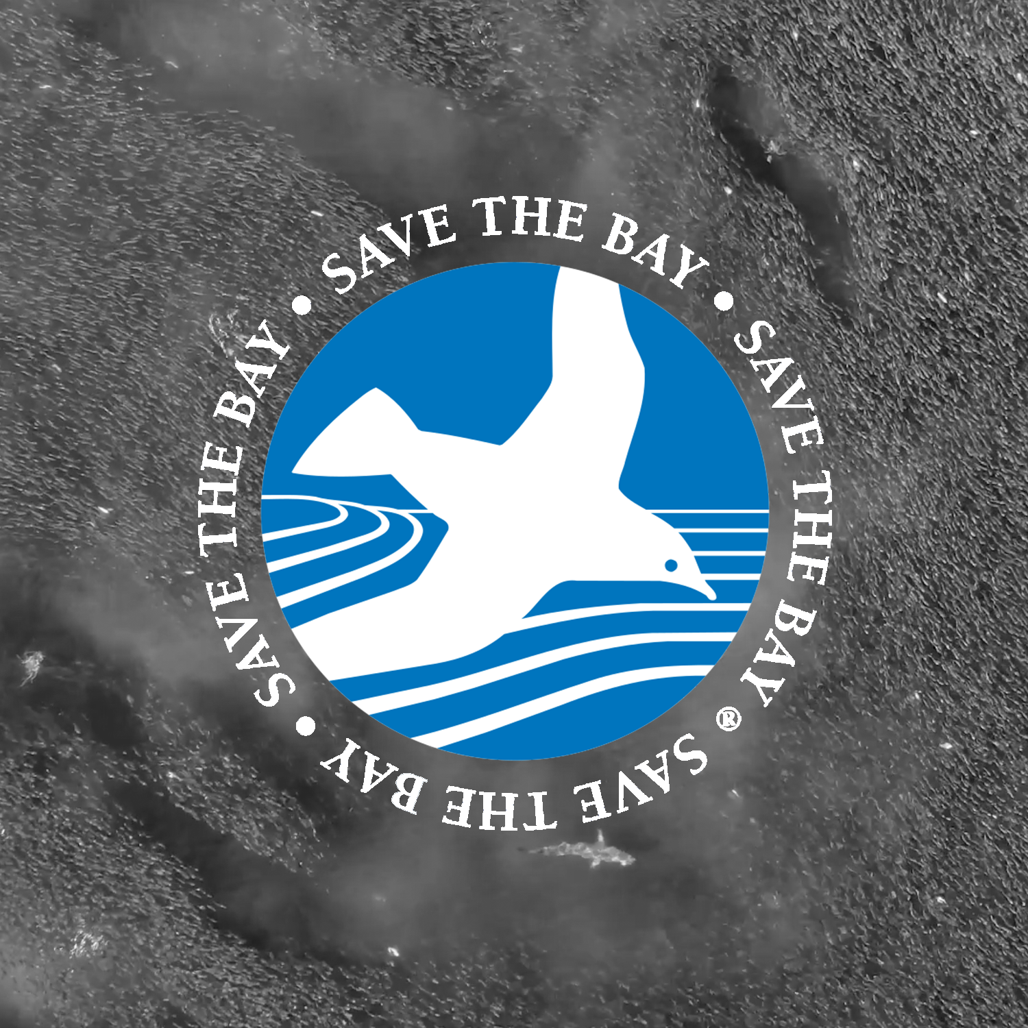 Marine Conservation
