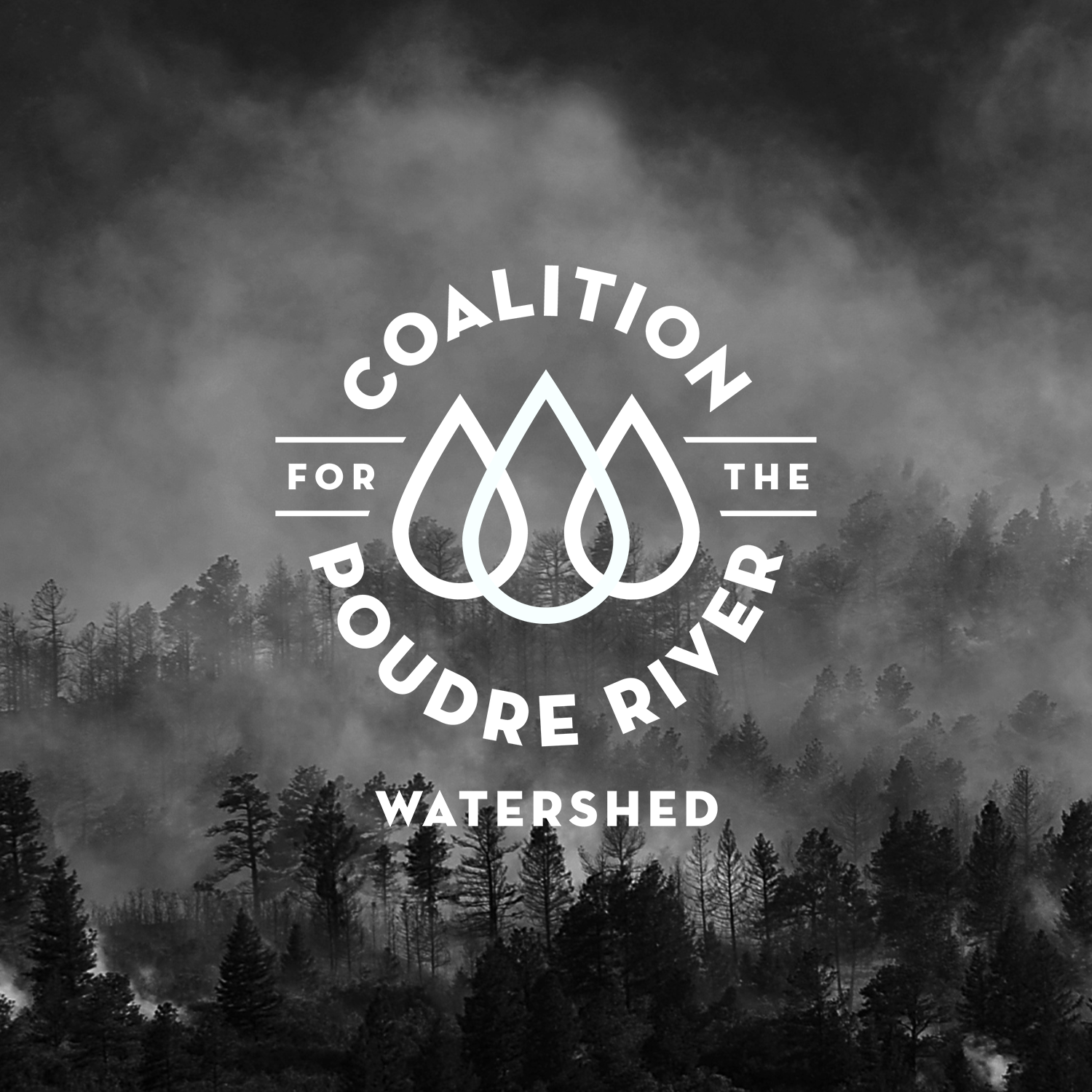 Wildfire Mitigation