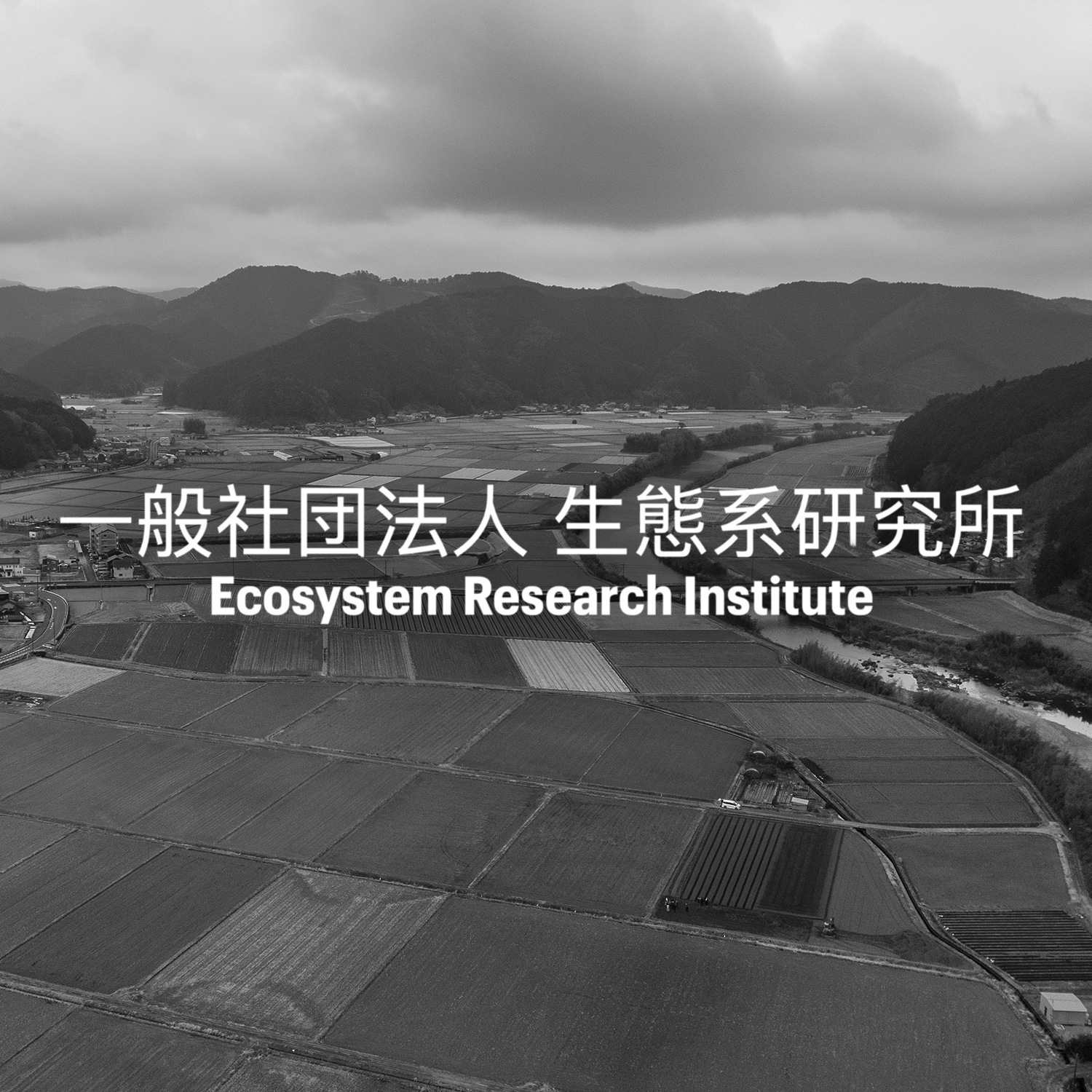 Nature Based Solutions in Japan