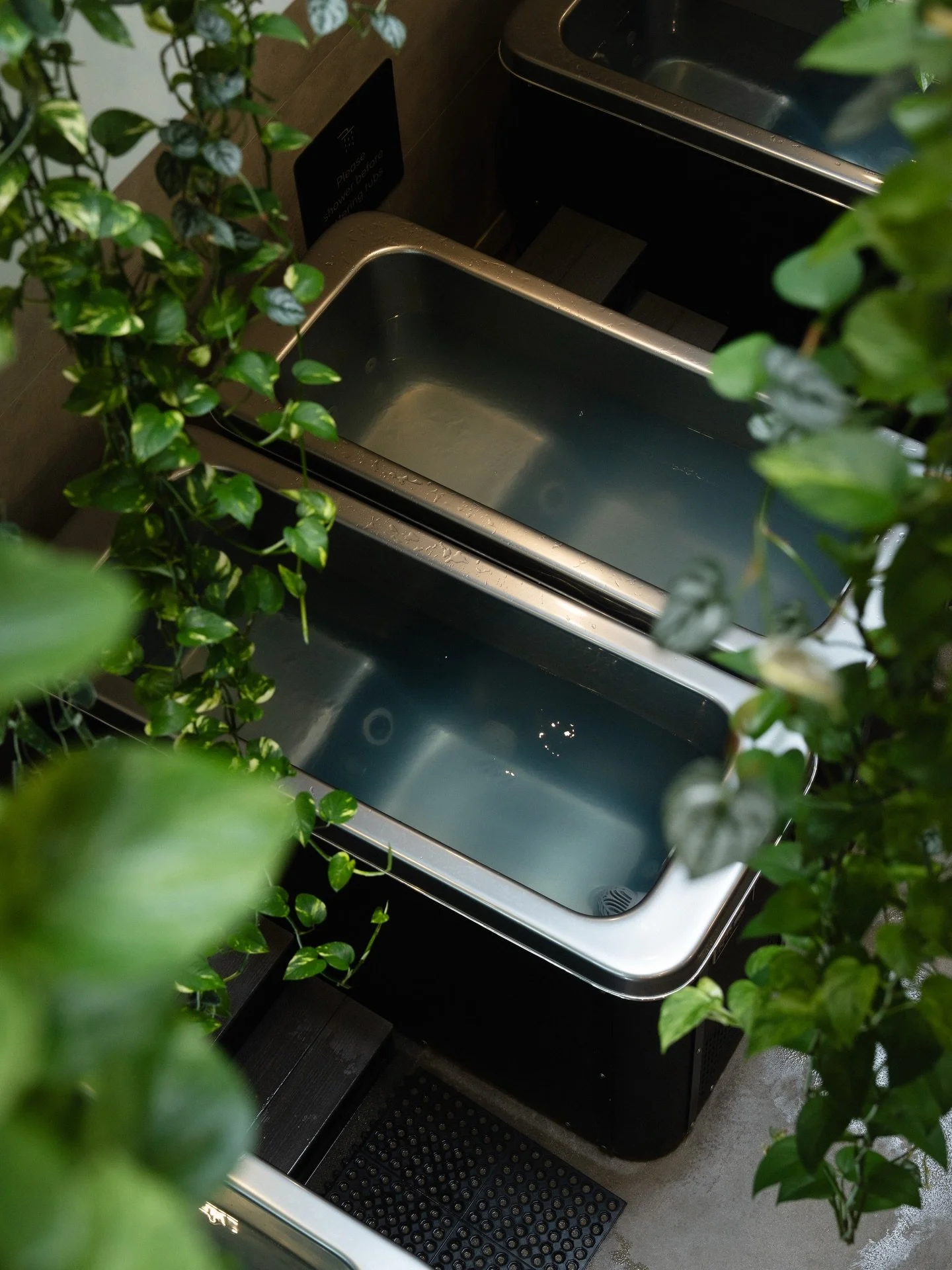 Cold, on purpose. 

Step in.
Slow your breath.
Let it pass.