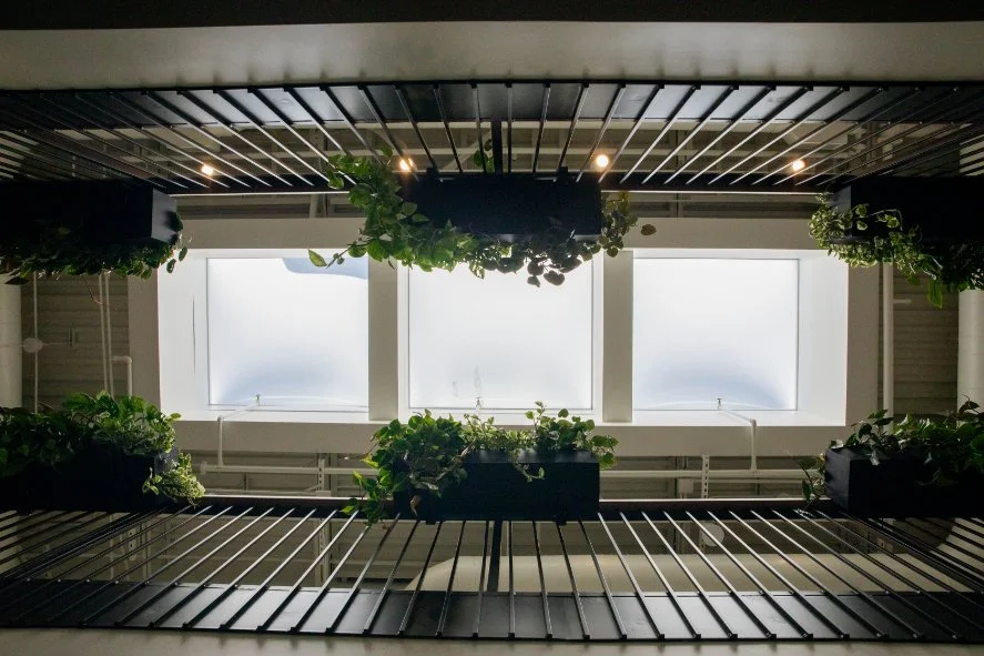 Which Framework Studio Is Right for You?